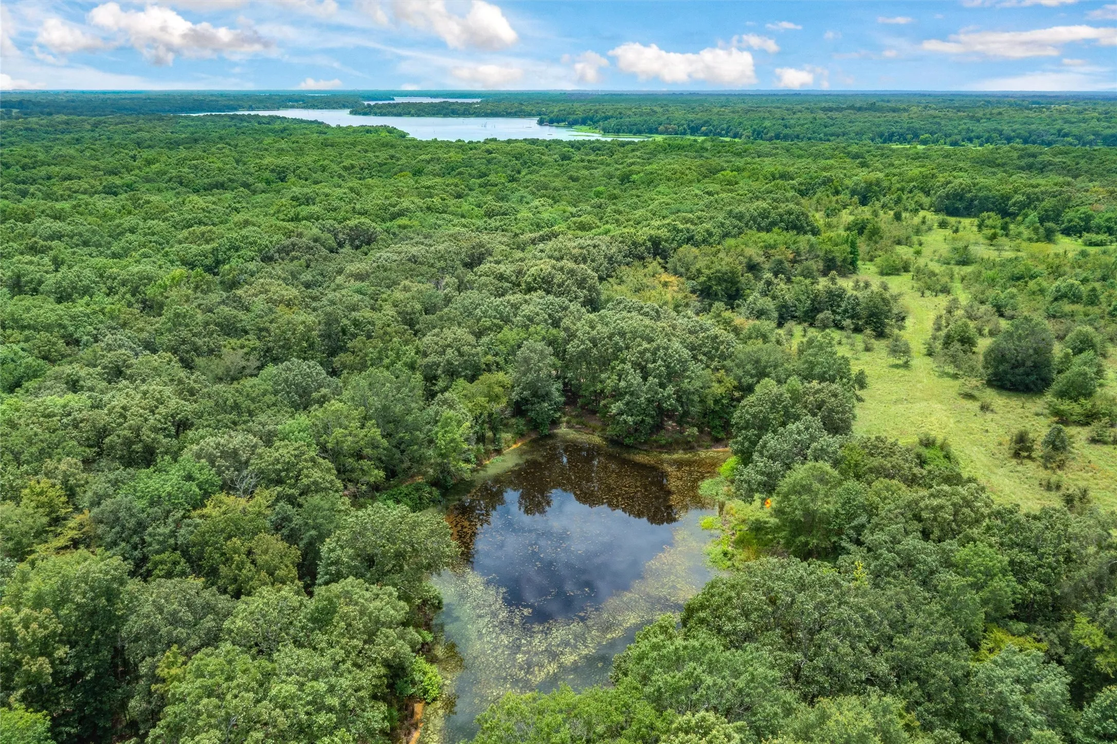 Unimproved Land For Sale in Hopkins County , TBD FM 1197, Yantis, Texas 75497, 0, 0, Garage spaces, 0 Sqft, built in 0, Price $5,700,000, mls#21264427, Real Estate Agent in Yantis, Homes For Sale in Hopkins county, Homes For Sale in Yantis, Realtor in Yantis Texas, Real Estate Brokerage Independent Realty Texas, Luminita Cordes Realtor