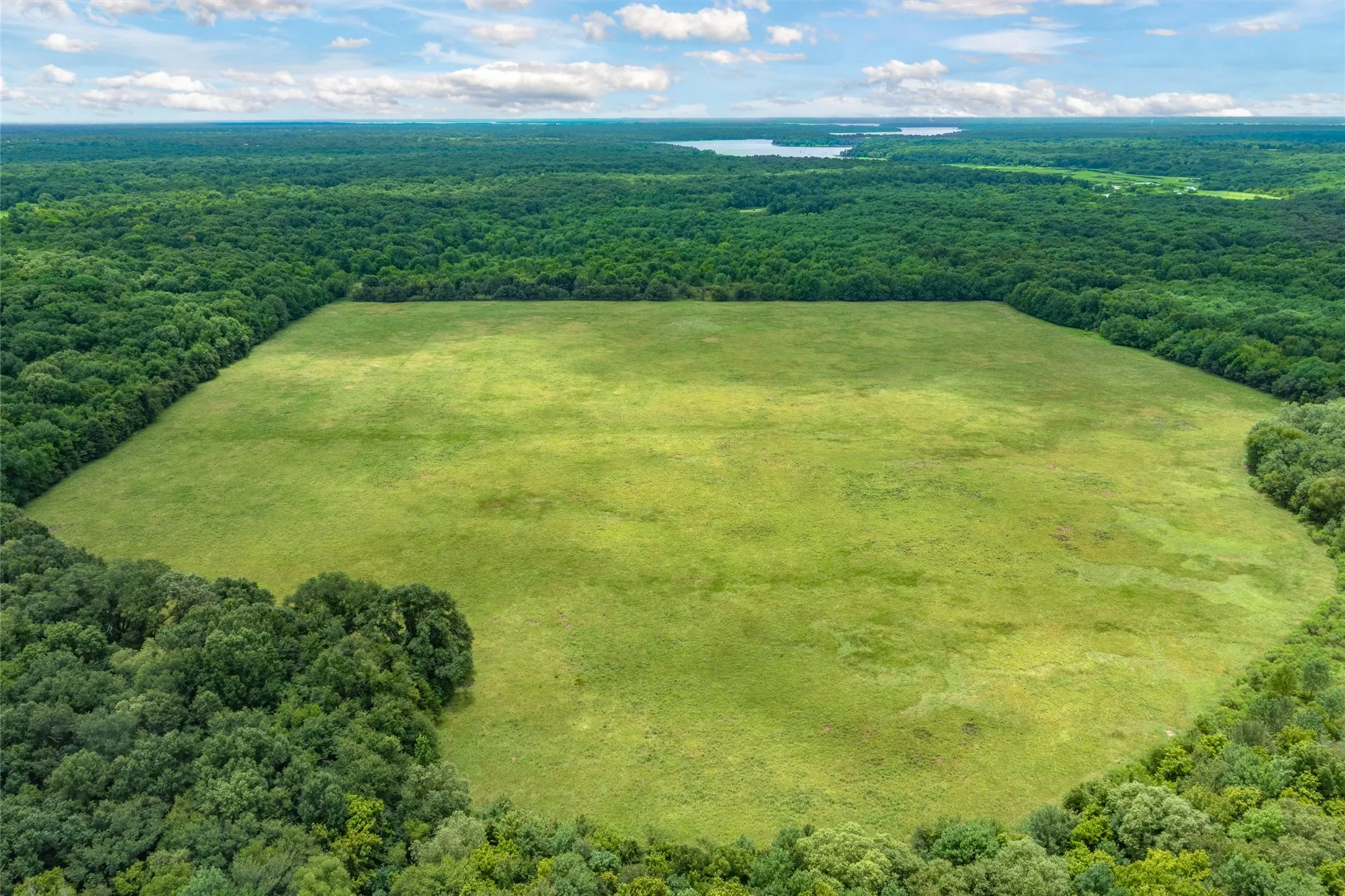 Unimproved Land For Sale in Hopkins County , TBD FM 1197, Yantis, Texas 75497, 0, 0, Garage spaces, 0 Sqft, built in 0, Price $5,700,000, mls#21264427, Real Estate Agent in Yantis, Homes For Sale in Hopkins county, Homes For Sale in Yantis, Realtor in Yantis Texas, Real Estate Brokerage Independent Realty Texas, Luminita Cordes Realtor