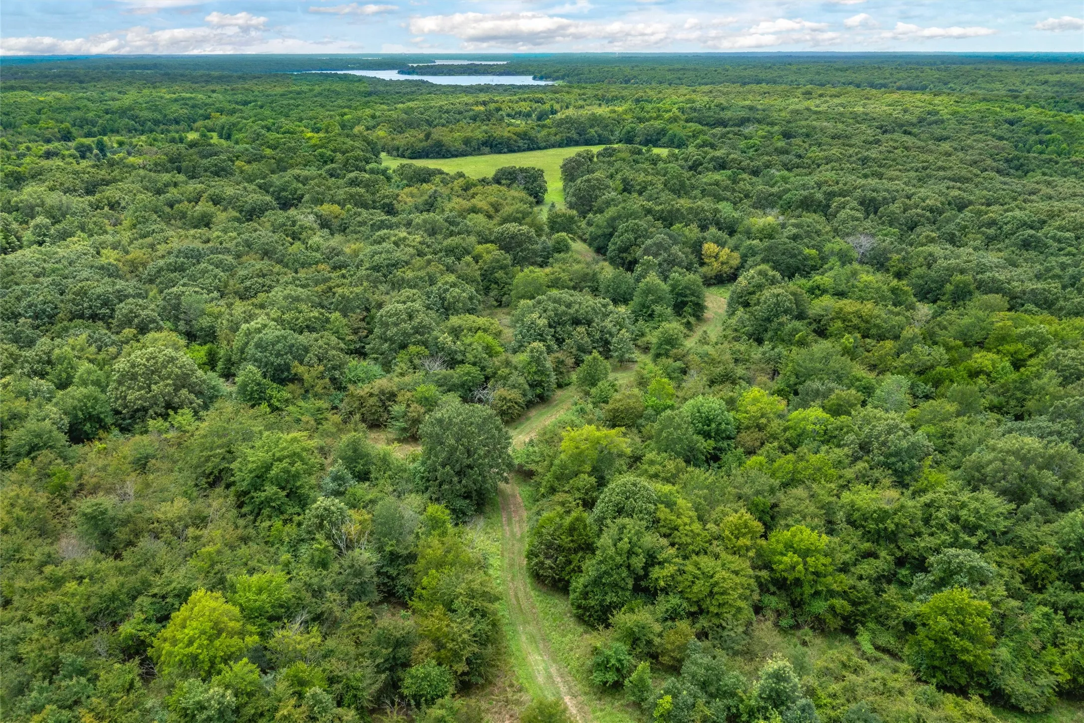 Unimproved Land For Sale in Hopkins County , TBD FM 1197, Yantis, Texas 75497, 0, 0, Garage spaces, 0 Sqft, built in 0, Price $5,700,000, mls#21264427, Real Estate Agent in Yantis, Homes For Sale in Hopkins county, Homes For Sale in Yantis, Realtor in Yantis Texas, Real Estate Brokerage Independent Realty Texas, Luminita Cordes Realtor