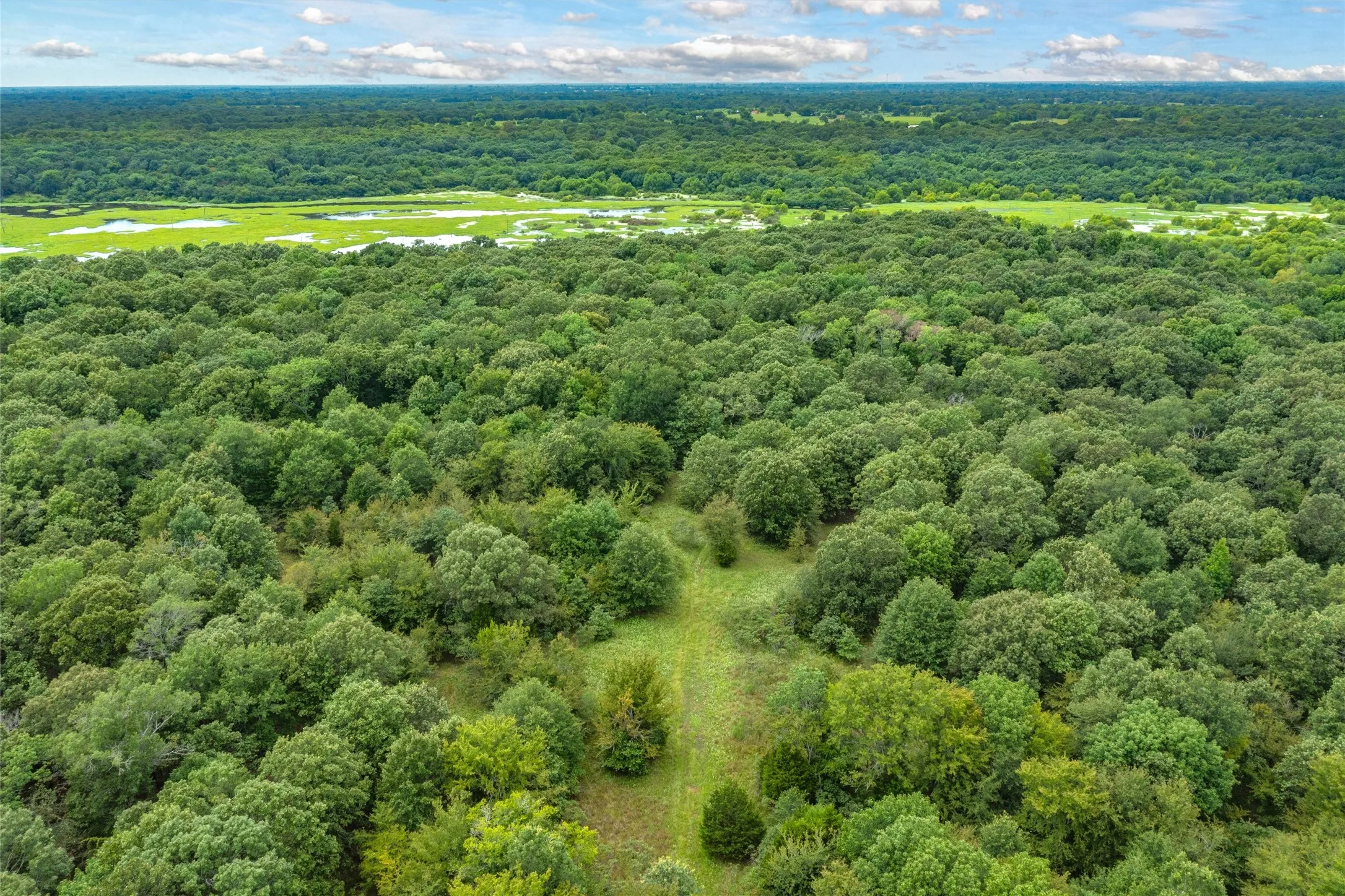 Unimproved Land For Sale in Hopkins County , TBD FM 1197, Yantis, Texas 75497, 0, 0, Garage spaces, 0 Sqft, built in 0, Price $5,700,000, mls#21264427, Real Estate Agent in Yantis, Homes For Sale in Hopkins county, Homes For Sale in Yantis, Realtor in Yantis Texas, Real Estate Brokerage Independent Realty Texas, Luminita Cordes Realtor