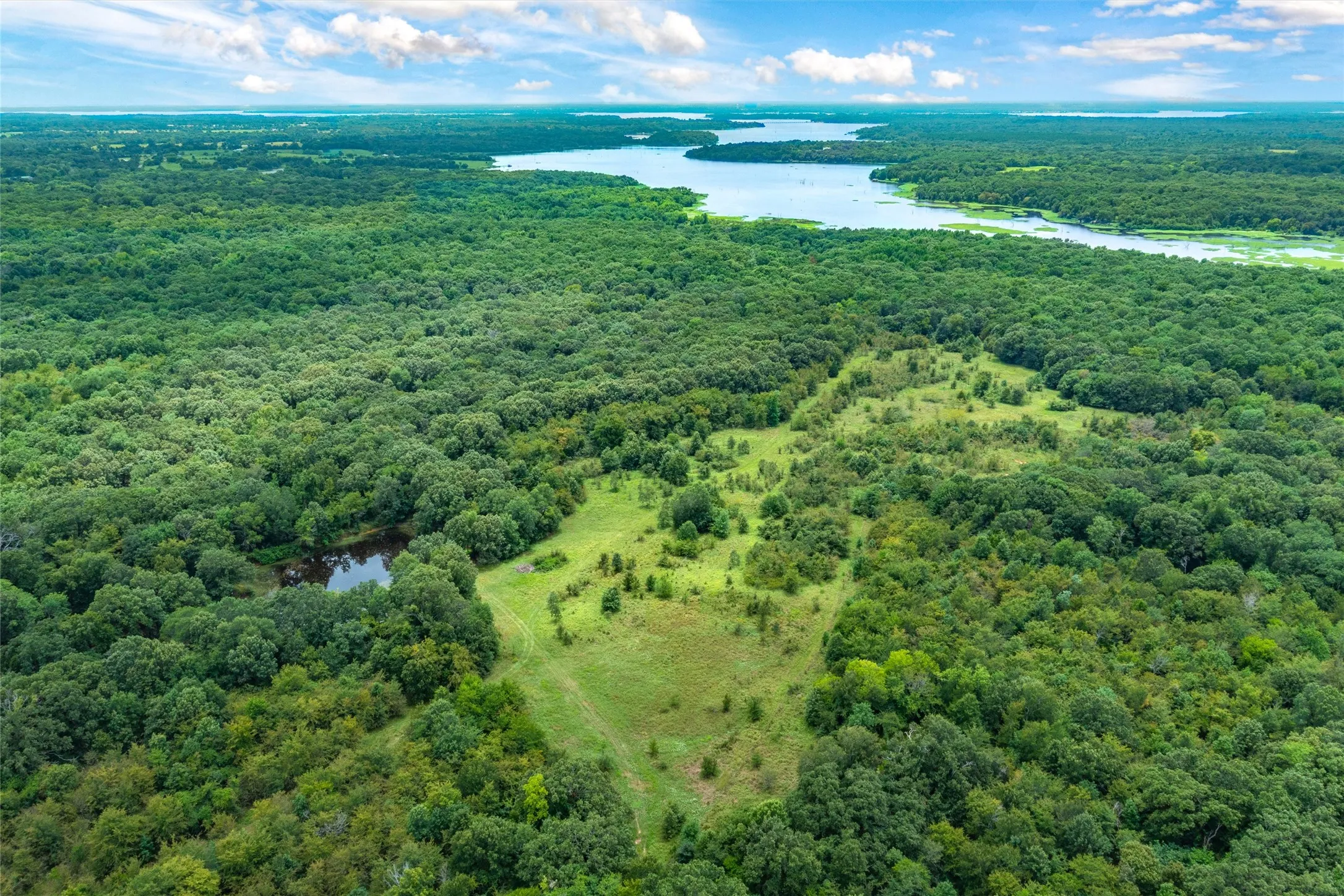 Unimproved Land For Sale in Hopkins County , TBD FM 1197, Yantis, Texas 75497, 0, 0, Garage spaces, 0 Sqft, built in 0, Price $5,700,000, mls#21264427, Real Estate Agent in Yantis, Homes For Sale in Hopkins county, Homes For Sale in Yantis, Realtor in Yantis Texas, Real Estate Brokerage Independent Realty Texas, Luminita Cordes Realtor