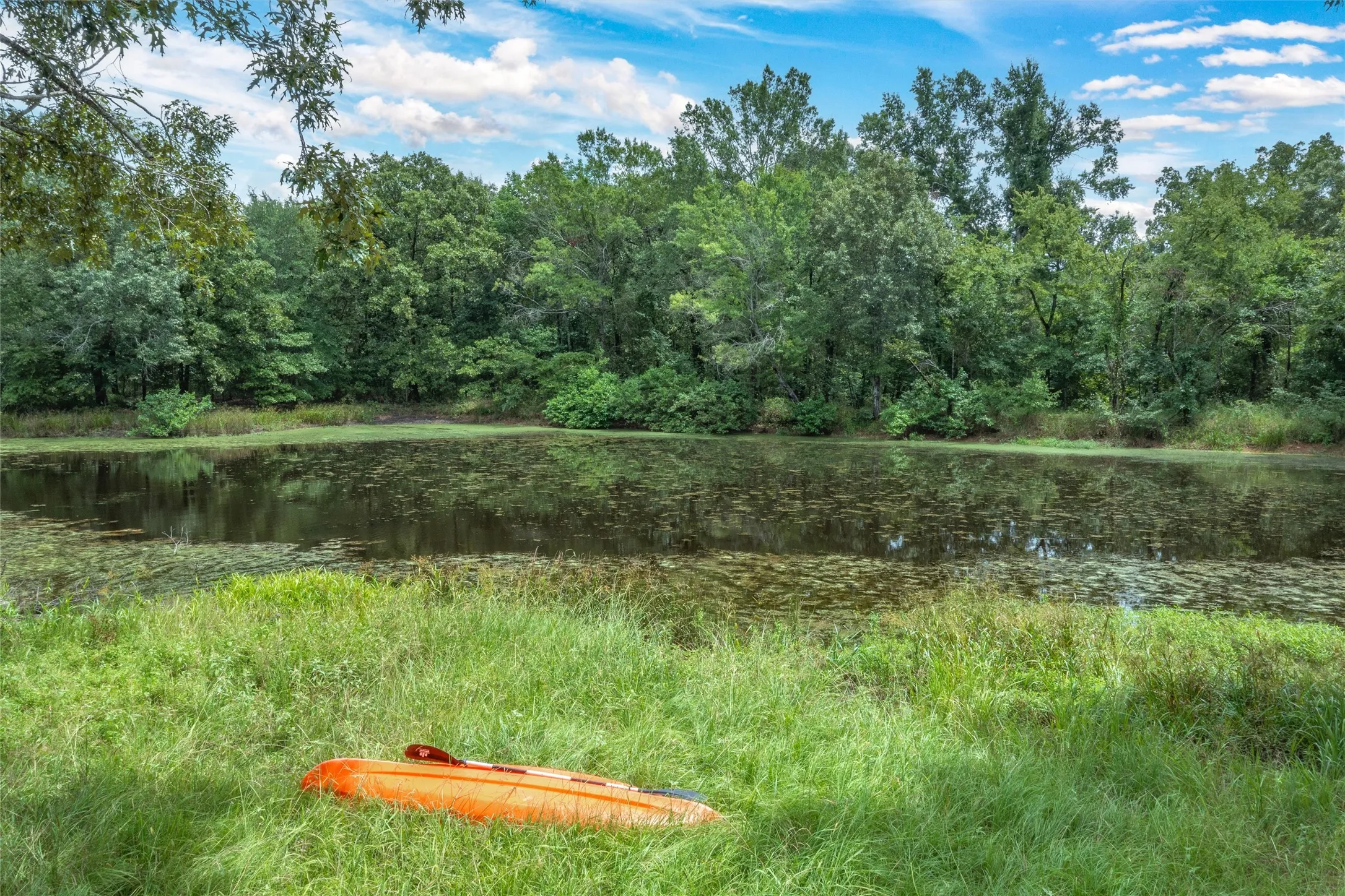 Unimproved Land For Sale in Hopkins County , TBD FM 1197, Yantis, Texas 75497, 0, 0, Garage spaces, 0 Sqft, built in 0, Price $5,700,000, mls#21264427, Real Estate Agent in Yantis, Homes For Sale in Hopkins county, Homes For Sale in Yantis, Realtor in Yantis Texas, Real Estate Brokerage Independent Realty Texas, Luminita Cordes Realtor