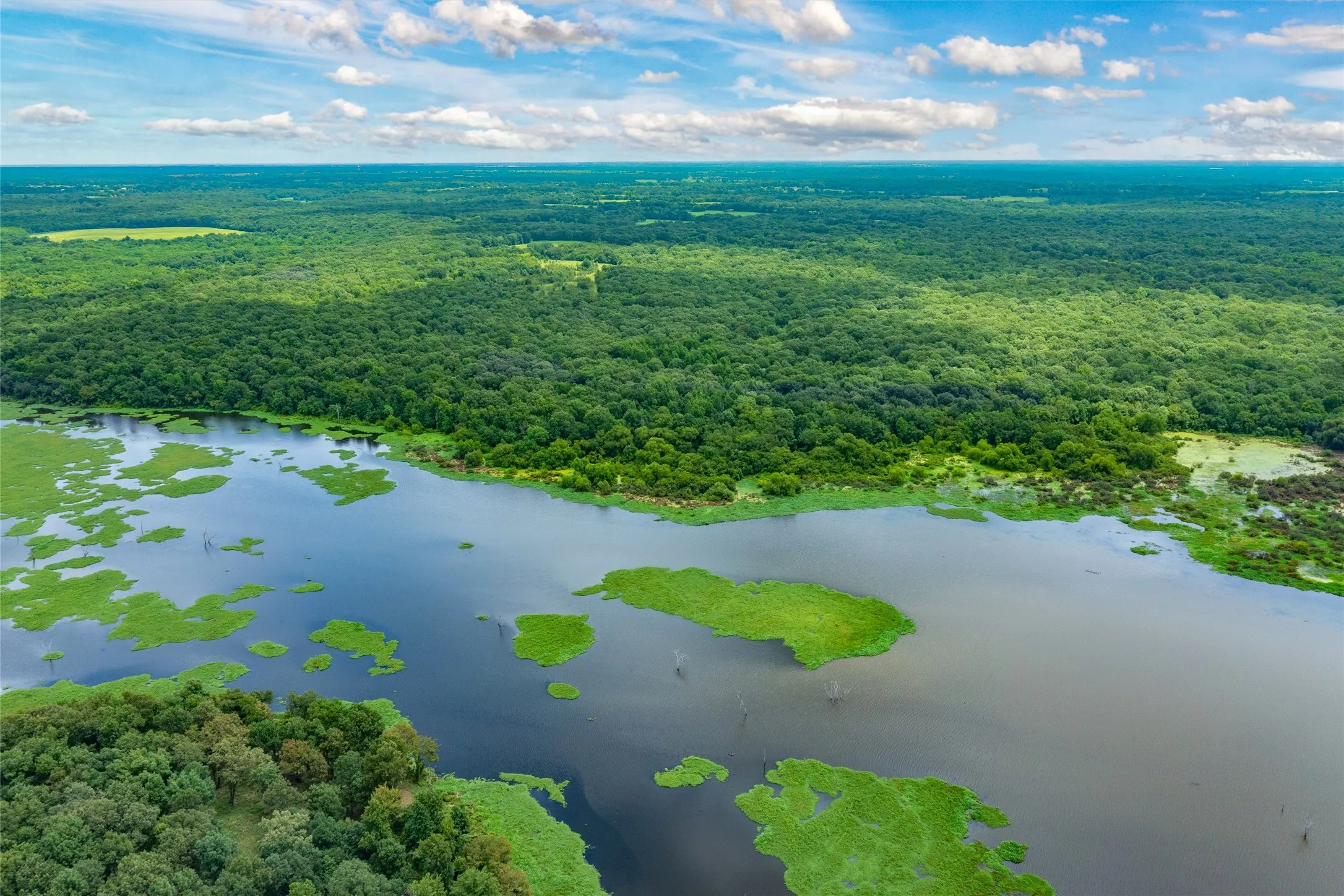 Unimproved Land For Sale in Hopkins County , TBD FM 1197, Yantis, Texas 75497, 0, 0, Garage spaces, 0 Sqft, built in 0, Price $5,700,000, mls#21264427, Real Estate Agent in Yantis, Homes For Sale in Hopkins county, Homes For Sale in Yantis, Realtor in Yantis Texas, Real Estate Brokerage Independent Realty Texas, Luminita Cordes Realtor