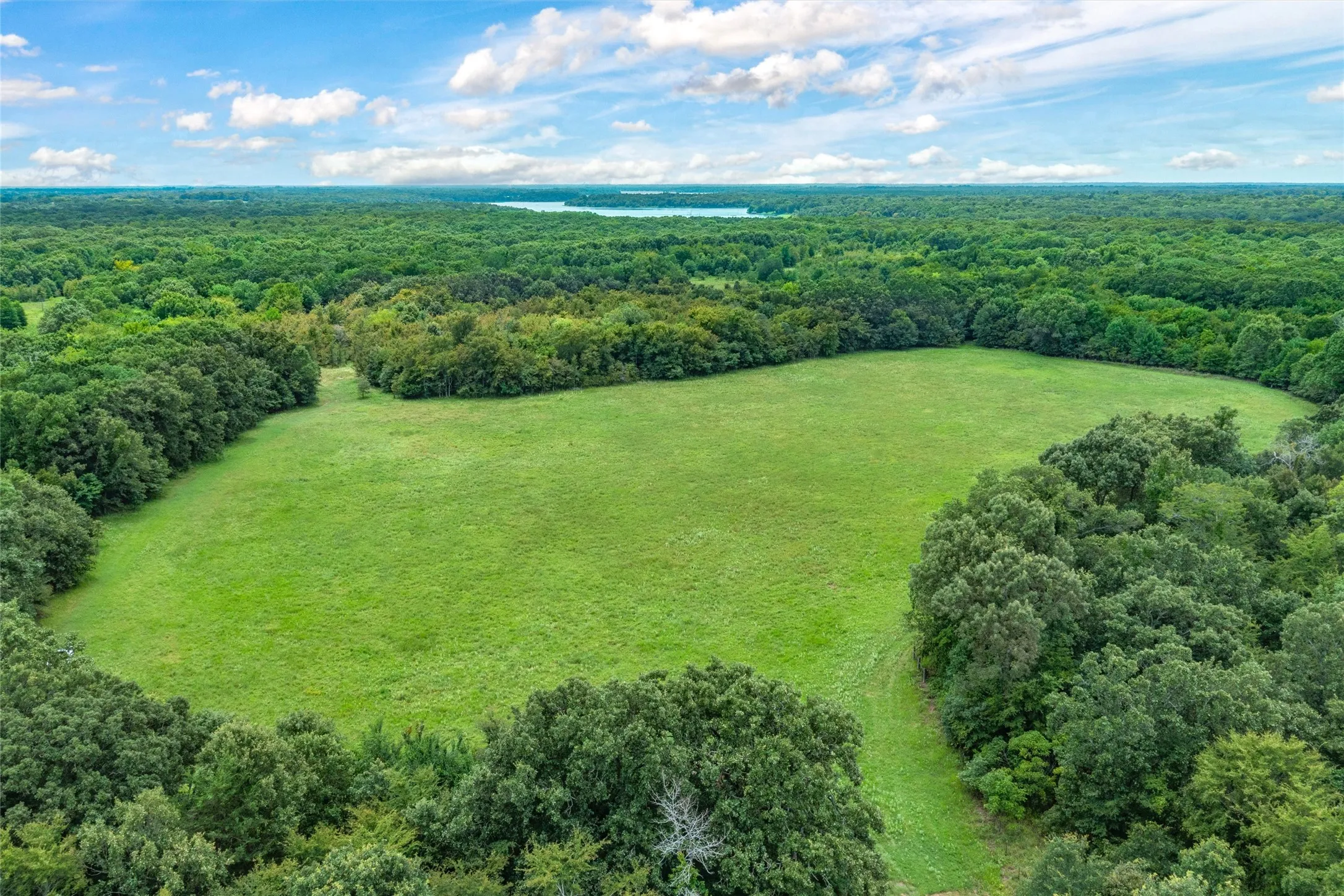 Unimproved Land For Sale in Hopkins County , TBD FM 1197, Yantis, Texas 75497, 0, 0, Garage spaces, 0 Sqft, built in 0, Price $5,700,000, mls#21264427, Real Estate Agent in Yantis, Homes For Sale in Hopkins county, Homes For Sale in Yantis, Realtor in Yantis Texas, Real Estate Brokerage Independent Realty Texas, Luminita Cordes Realtor