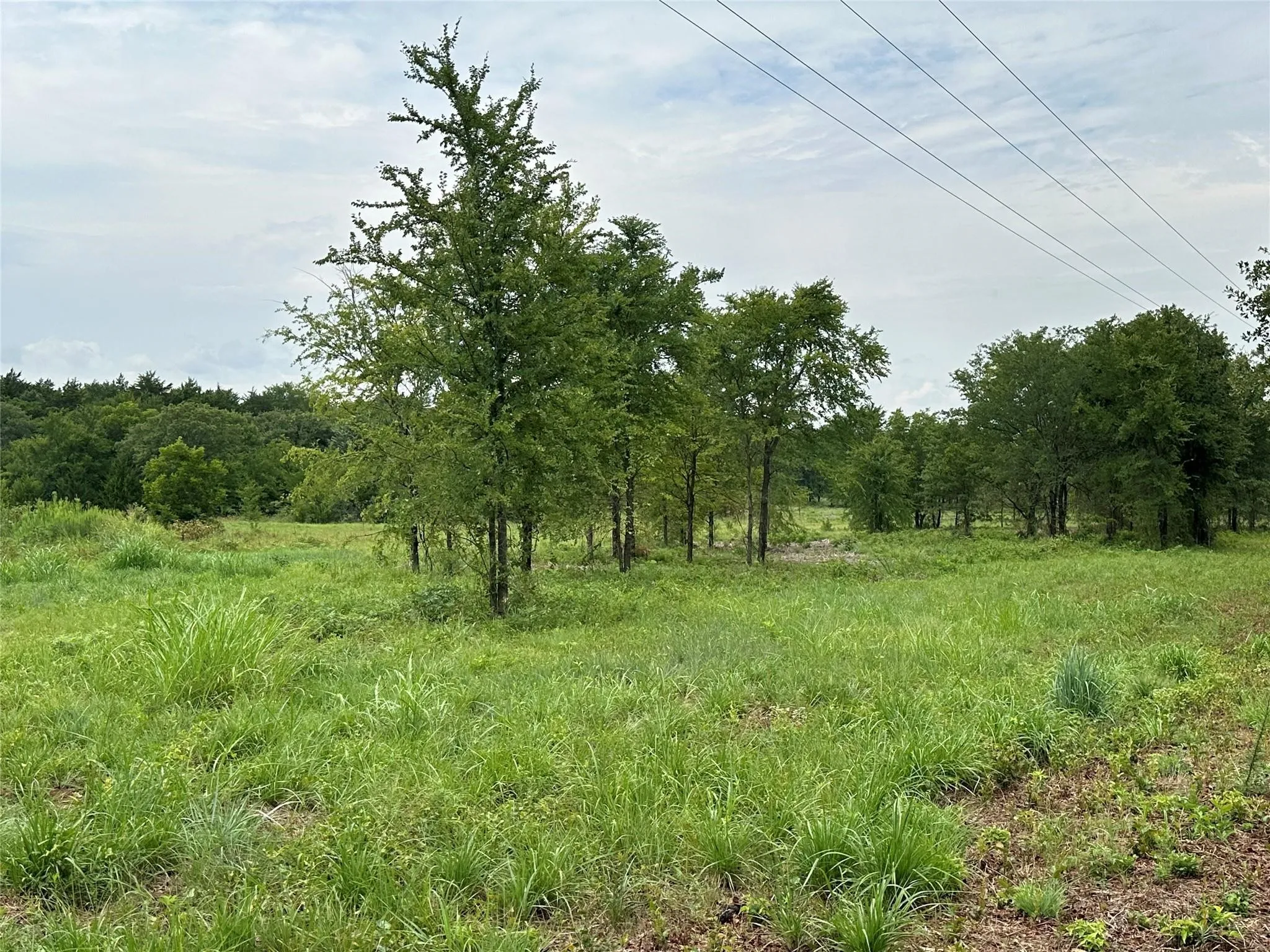 Unimproved Land For Sale in Cooke County , Tract 2 Fm 678, Whitesboro, Texas 76273, 0, 0, Garage spaces, 0 Sqft, built in 0, Price $395,000, mls#21257046, Real Estate Agent in Whitesboro, Homes For Sale in Cooke county, Homes For Sale in Whitesboro, Realtor in Whitesboro Texas, Real Estate Brokerage Independent Realty Texas, Luminita Cordes Realtor