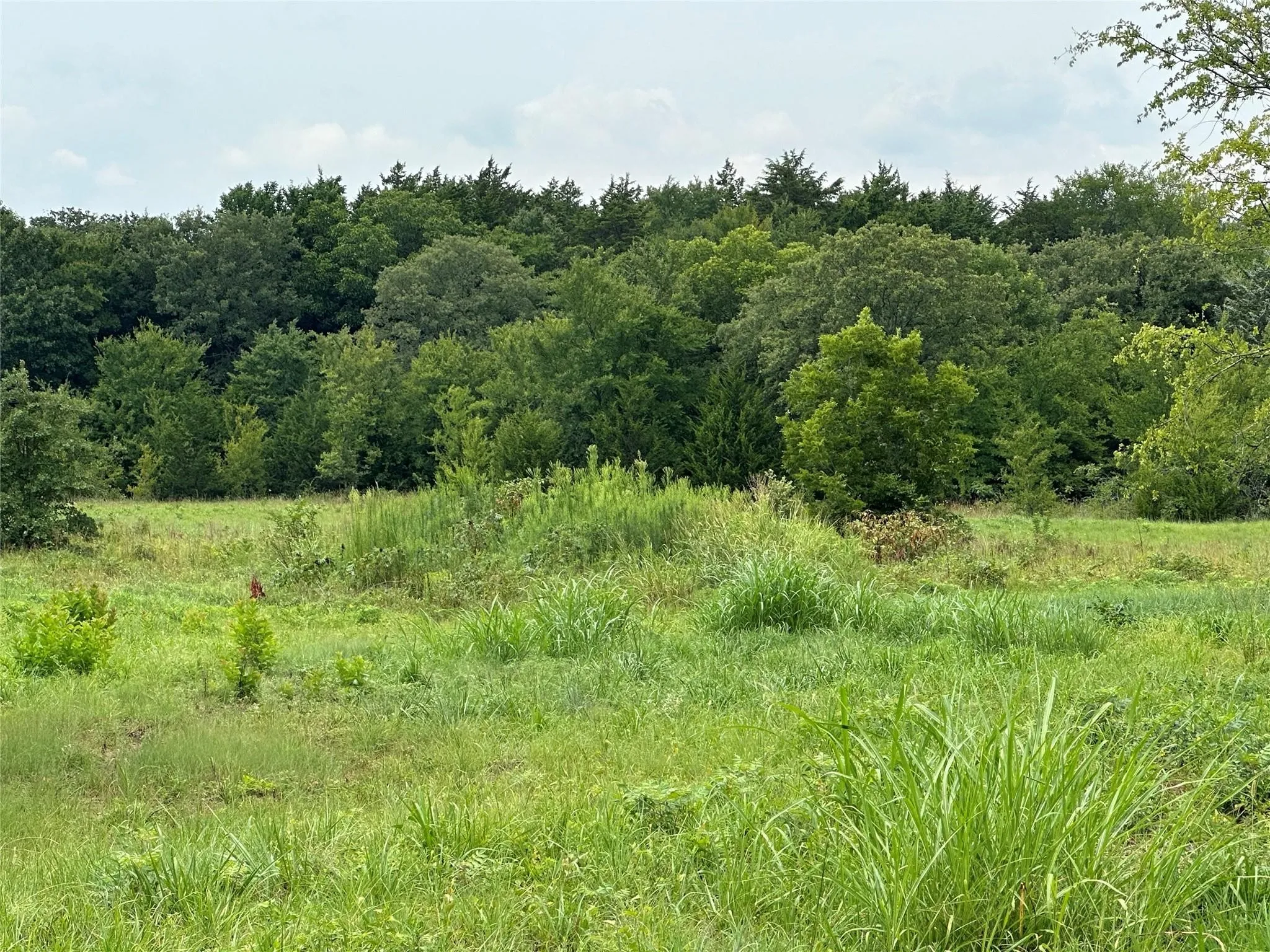 Unimproved Land For Sale in Cooke County , Tract 2 Fm 678, Whitesboro, Texas 76273, 0, 0, Garage spaces, 0 Sqft, built in 0, Price $395,000, mls#21257046, Real Estate Agent in Whitesboro, Homes For Sale in Cooke county, Homes For Sale in Whitesboro, Realtor in Whitesboro Texas, Real Estate Brokerage Independent Realty Texas, Luminita Cordes Realtor