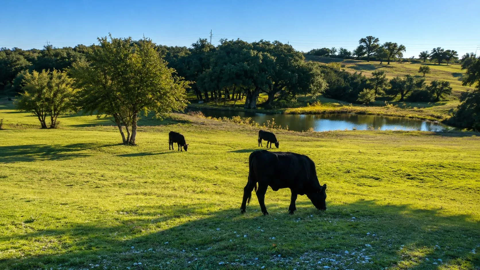 Single Family Residence For Sale in Erath County , 1973 County Road 513, Stephenville, Texas 76401, 4 Bedroom, 2 Bathroom, 3 Garage spaces, 1,939 Sqft, built in 1977, mls#21264281, Real Estate Agent in Stephenville, Homes For Sale in Erath county, Homes For Sale in Stephenville, Realtor in Stephenville Texas, Real Estate Brokerage Independent Realty Texas, Luminita Cordes Realtor
