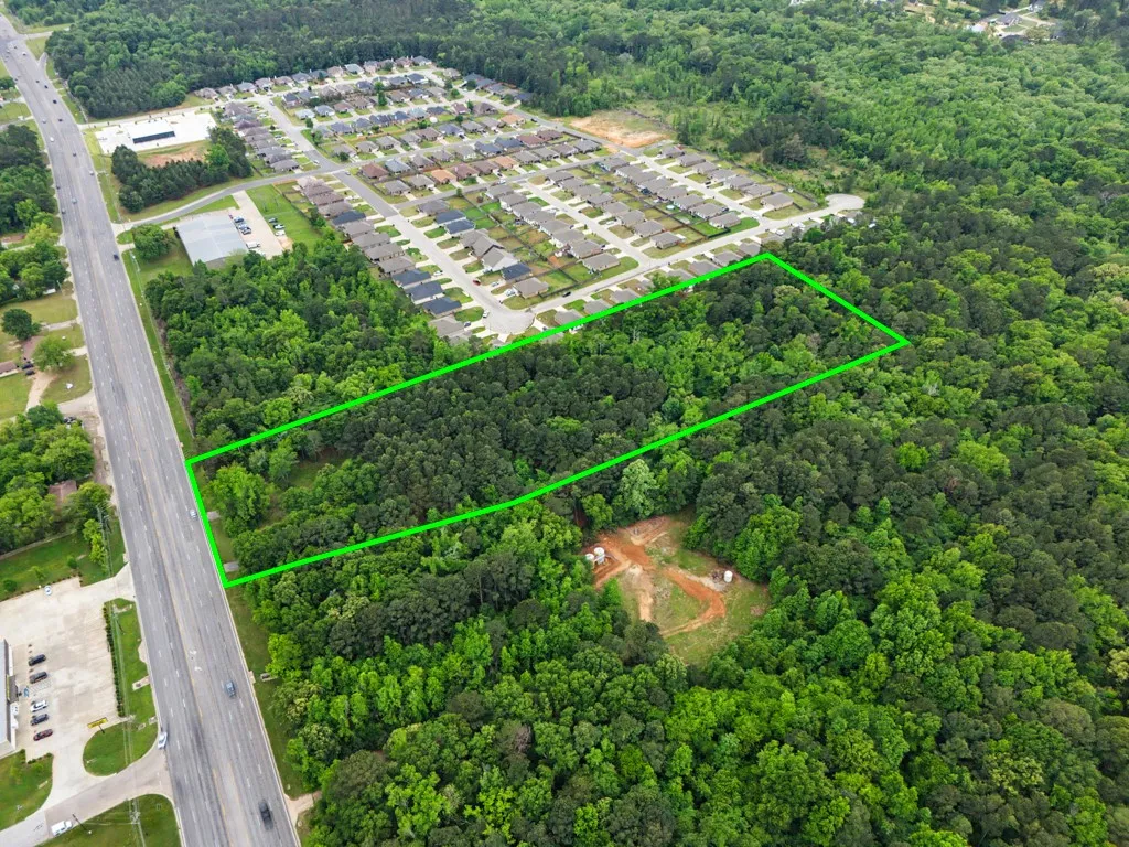Expansive wooded acreage featuring significant tree coverage and direct road frontage