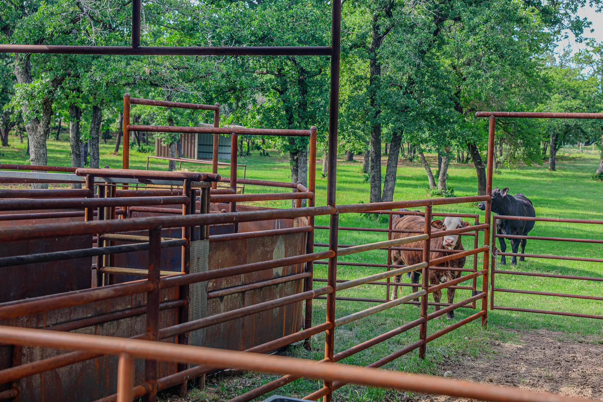 Farm For Sale in Erath County , 6085 County Road 146, Lipan, Texas 76462, 4 Bedrooms, 3 Bathrooms, Garage spaces, 2,565 Sqft, built in 2019, Price $3,450,000, mls#21261800, Real Estate Agent in Lipan, Homes For Sale in Erath county, Homes For Sale in Lipan, Realtor in Lipan Texas, Real Estate Brokerage Independent Realty Texas, Luminita Cordes Realtor