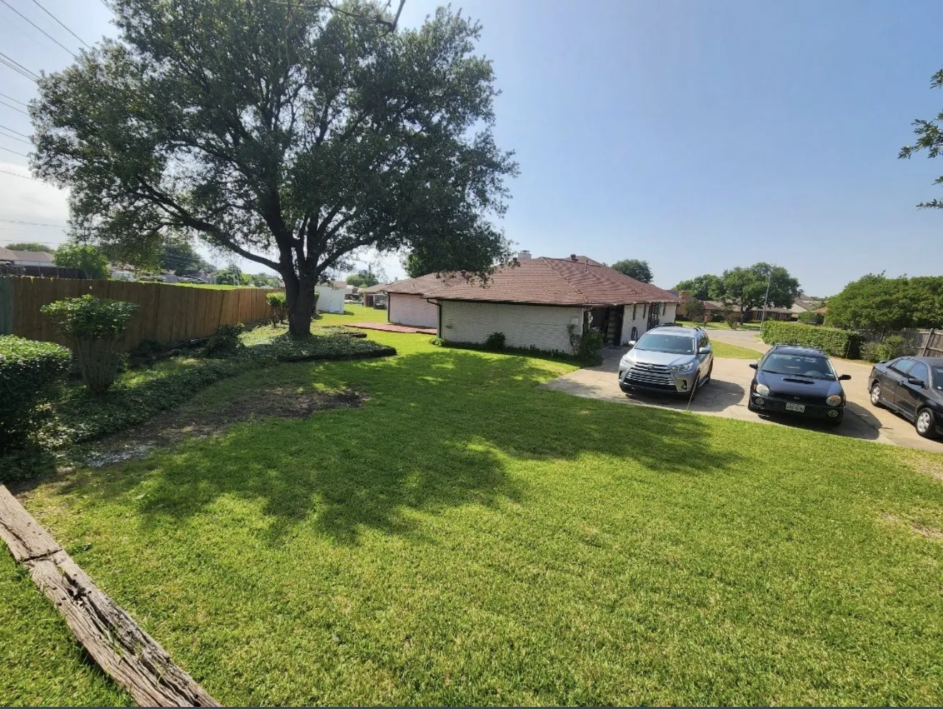Expansive green lawn with mature tree, bordered by a wooden fence and established landscaping