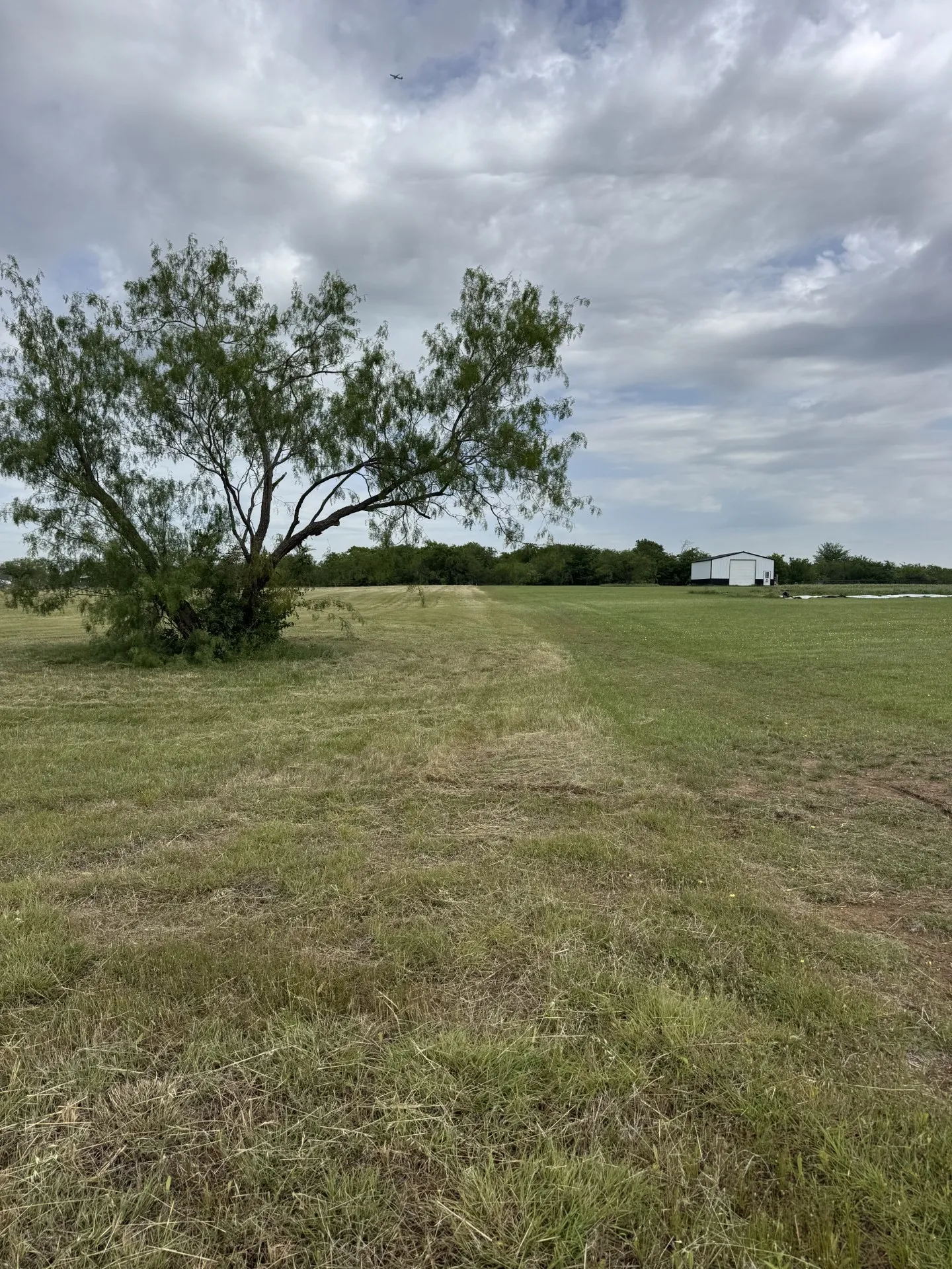 Unimproved Land For Sale in Denton County , 220 Martingale Drive, Oak Point, Texas 75068, 0, 0, Garage spaces, 0 Sqft, built in 0, Price $495,000, mls#21262014, Real Estate Agent in Oak Point, Homes For Sale in Denton county, Homes For Sale in Oak Point, Realtor in Oak Point Texas, Real Estate Brokerage Independent Realty Texas, Luminita Cordes Realtor