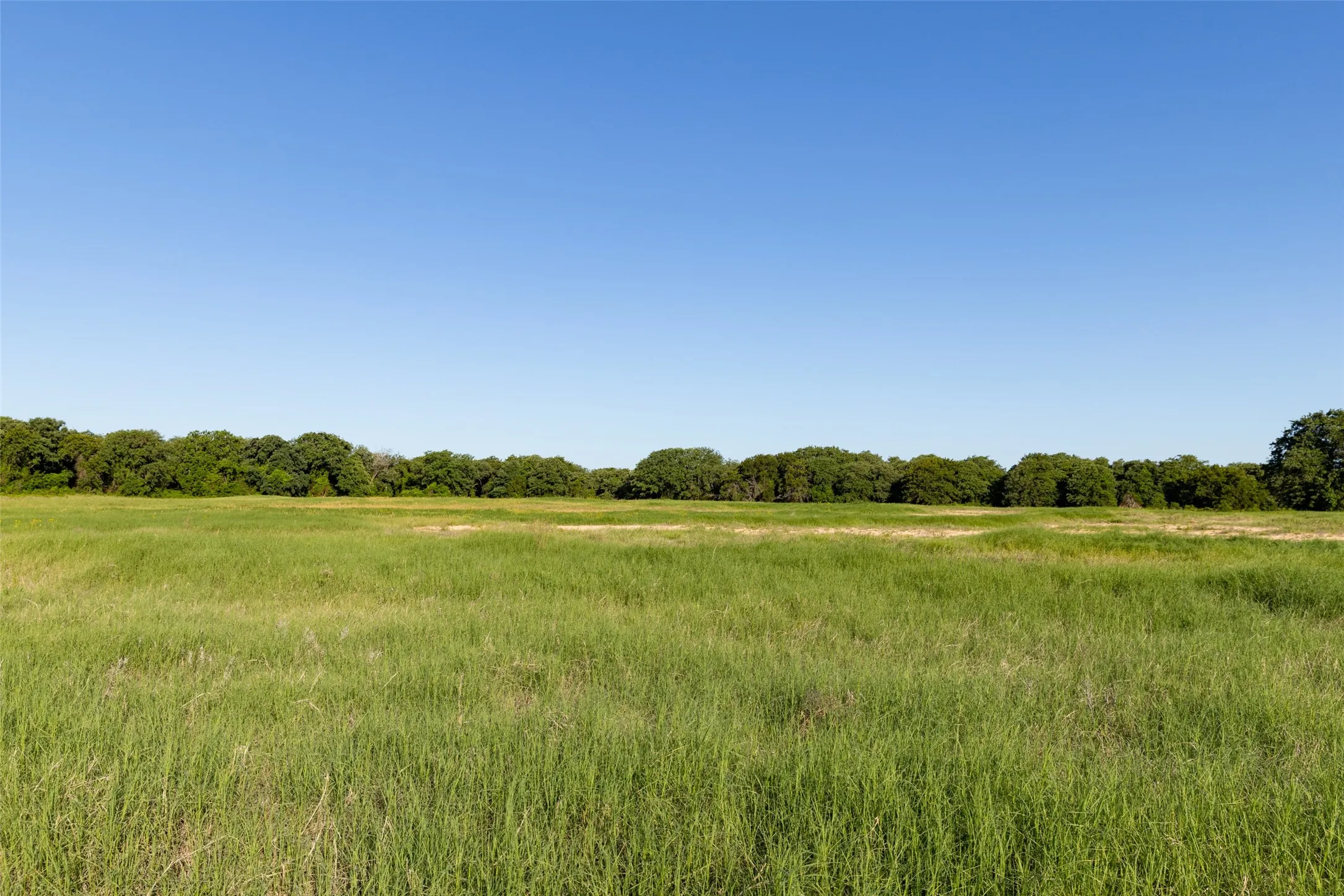 Ranch For Sale in Erath County , TBD 14 County Road 175, Stephenville, Texas 76401, 0, 0, Garage spaces, 0 Sqft, built in 0, mls#21260190, Real Estate Agent in Stephenville, Homes For Sale in Erath county, Homes For Sale in Stephenville, Realtor in Stephenville Texas, Real Estate Brokerage Independent Realty Texas, Luminita Cordes Realtor