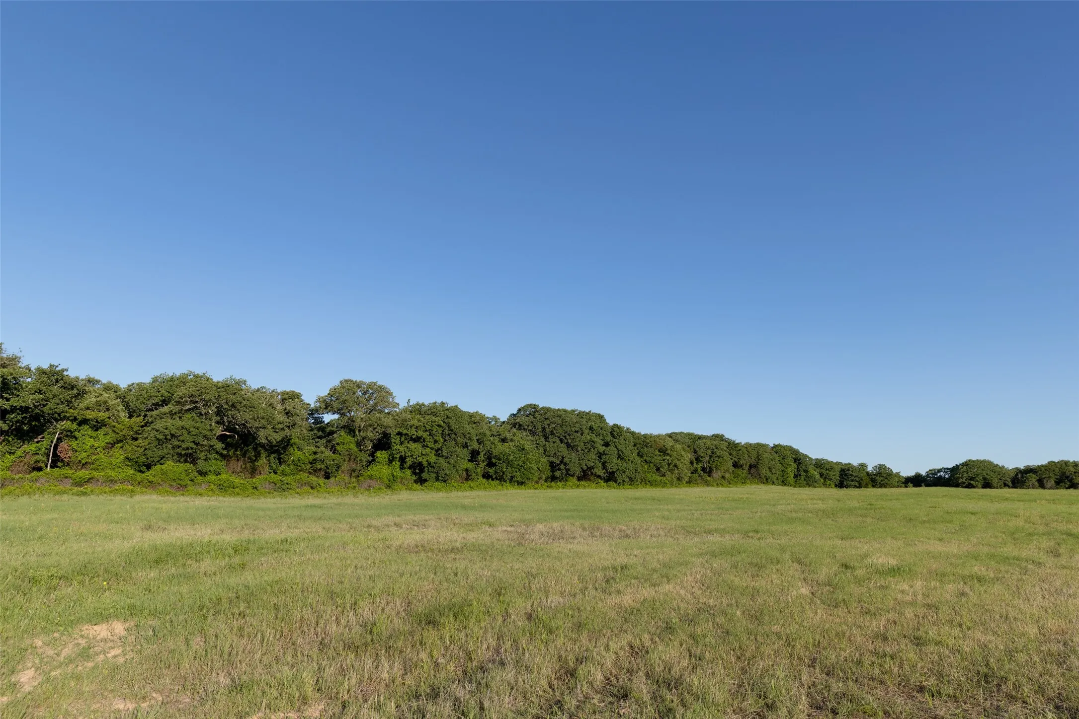 Ranch For Sale in Erath County , TBD 14 County Road 175, Stephenville, Texas 76401, 0, 0, Garage spaces, 0 Sqft, built in 0, mls#21260190, Real Estate Agent in Stephenville, Homes For Sale in Erath county, Homes For Sale in Stephenville, Realtor in Stephenville Texas, Real Estate Brokerage Independent Realty Texas, Luminita Cordes Realtor