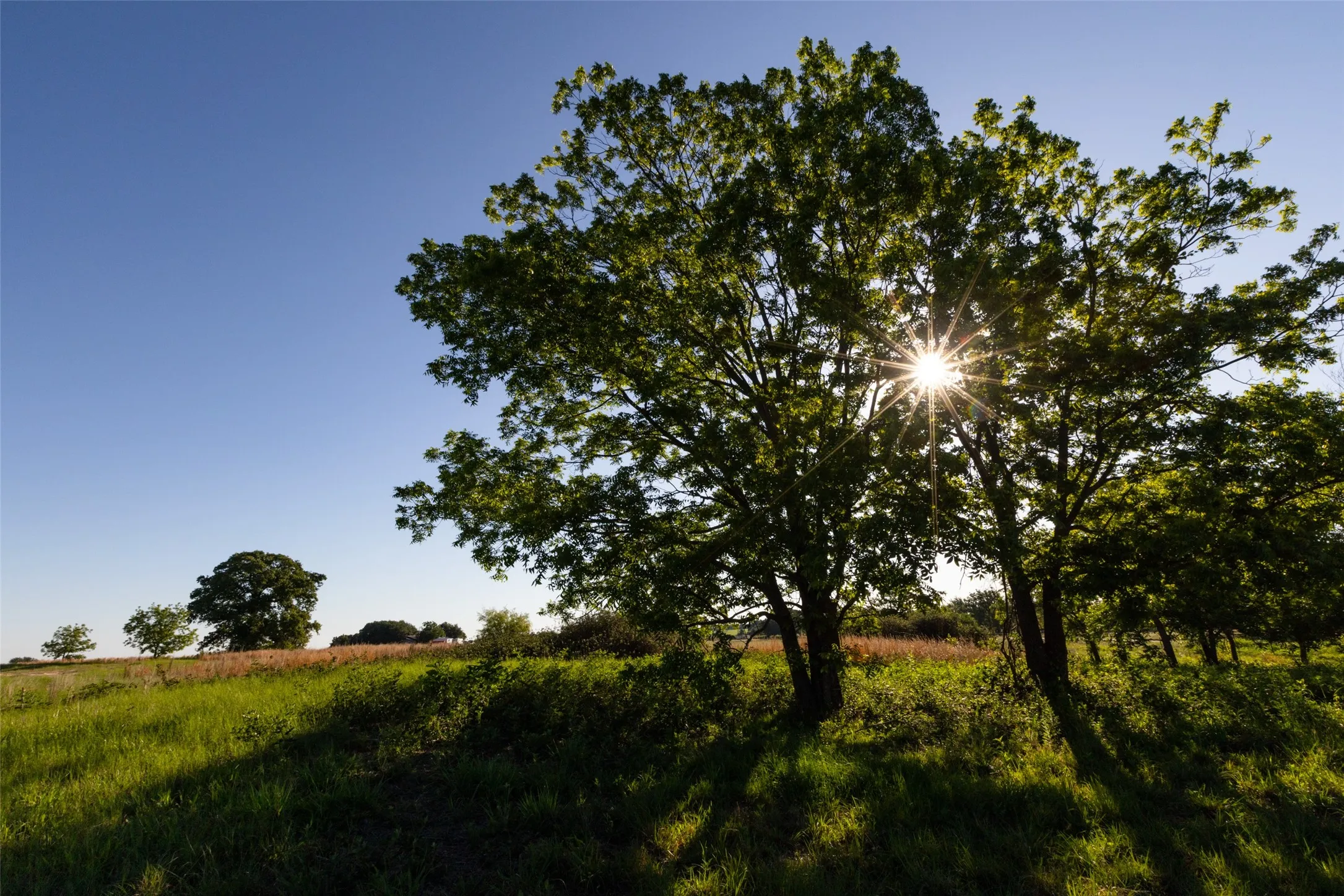 Ranch For Sale in Erath County , TBD 14 County Road 175, Stephenville, Texas 76401, 0, 0, Garage spaces, 0 Sqft, built in 0, mls#21260190, Real Estate Agent in Stephenville, Homes For Sale in Erath county, Homes For Sale in Stephenville, Realtor in Stephenville Texas, Real Estate Brokerage Independent Realty Texas, Luminita Cordes Realtor