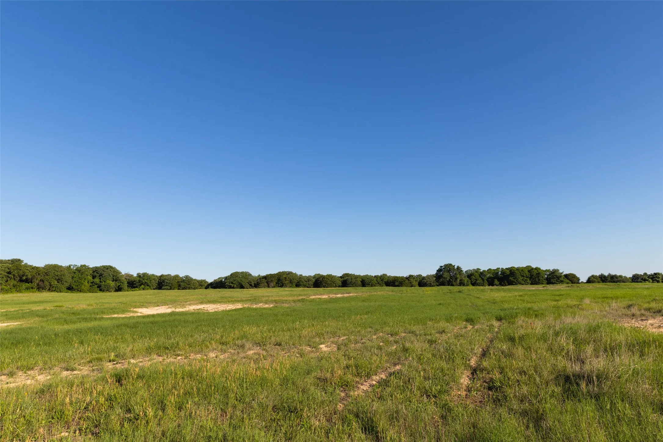 Ranch For Sale in Erath County , TBD 14 County Road 175, Stephenville, Texas 76401, 0, 0, Garage spaces, 0 Sqft, built in 0, mls#21260190, Real Estate Agent in Stephenville, Homes For Sale in Erath county, Homes For Sale in Stephenville, Realtor in Stephenville Texas, Real Estate Brokerage Independent Realty Texas, Luminita Cordes Realtor