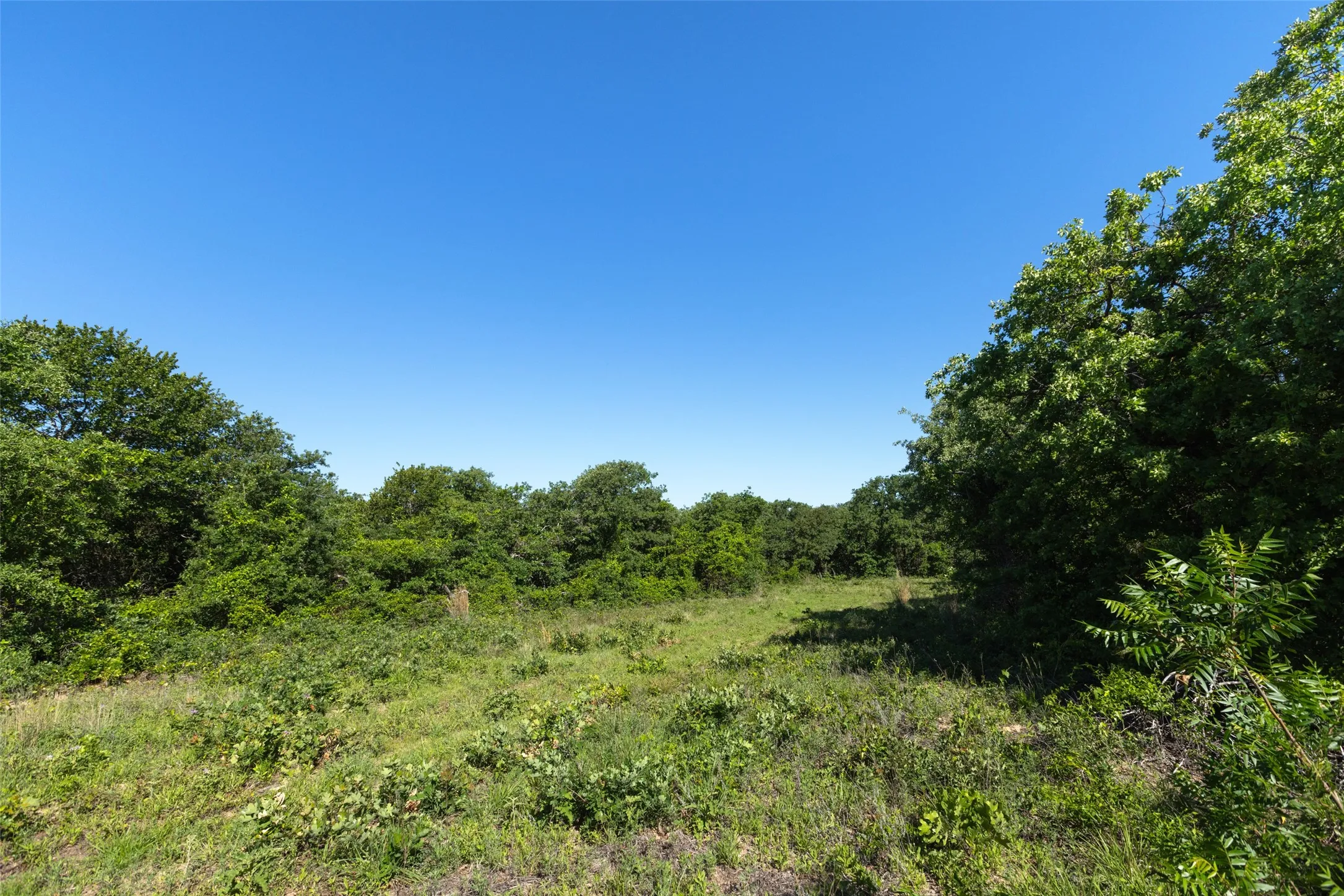 Ranch For Sale in Erath County , TBD 14 County Road 175, Stephenville, Texas 76401, 0, 0, Garage spaces, 0 Sqft, built in 0, mls#21260190, Real Estate Agent in Stephenville, Homes For Sale in Erath county, Homes For Sale in Stephenville, Realtor in Stephenville Texas, Real Estate Brokerage Independent Realty Texas, Luminita Cordes Realtor
