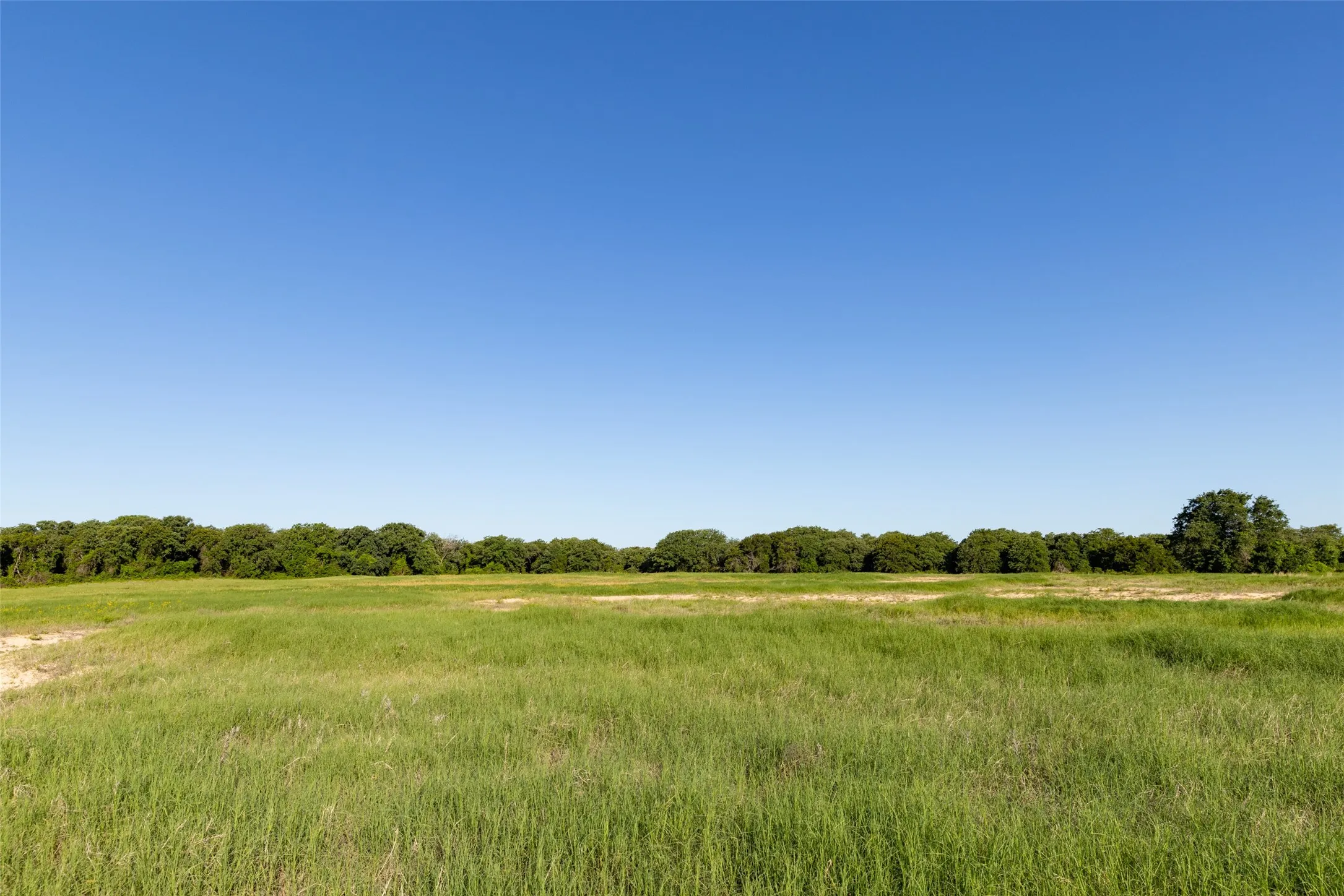 Ranch For Sale in Erath County , TBD 14 County Road 175, Stephenville, Texas 76401, 0, 0, Garage spaces, 0 Sqft, built in 0, mls#21260190, Real Estate Agent in Stephenville, Homes For Sale in Erath county, Homes For Sale in Stephenville, Realtor in Stephenville Texas, Real Estate Brokerage Independent Realty Texas, Luminita Cordes Realtor