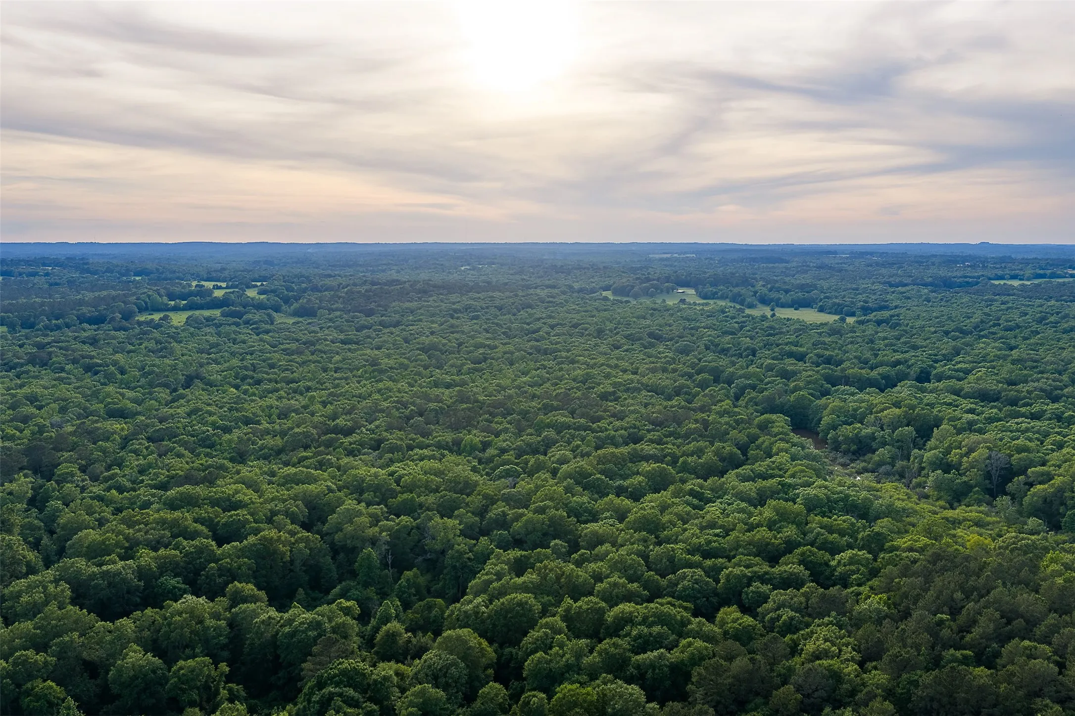 Unimproved Land For Sale in Cherokee County , 00 Off of Farm to Market Road 2064, Troup, Texas 75789, 0, 0, Garage spaces, 0 Sqft, built in 0, Price $980,000, mls#21264606, Real Estate Agent in Troup, Homes For Sale in Cherokee county, Homes For Sale in Troup, Realtor in Troup Texas, Real Estate Brokerage Independent Realty Texas, Luminita Cordes Realtor