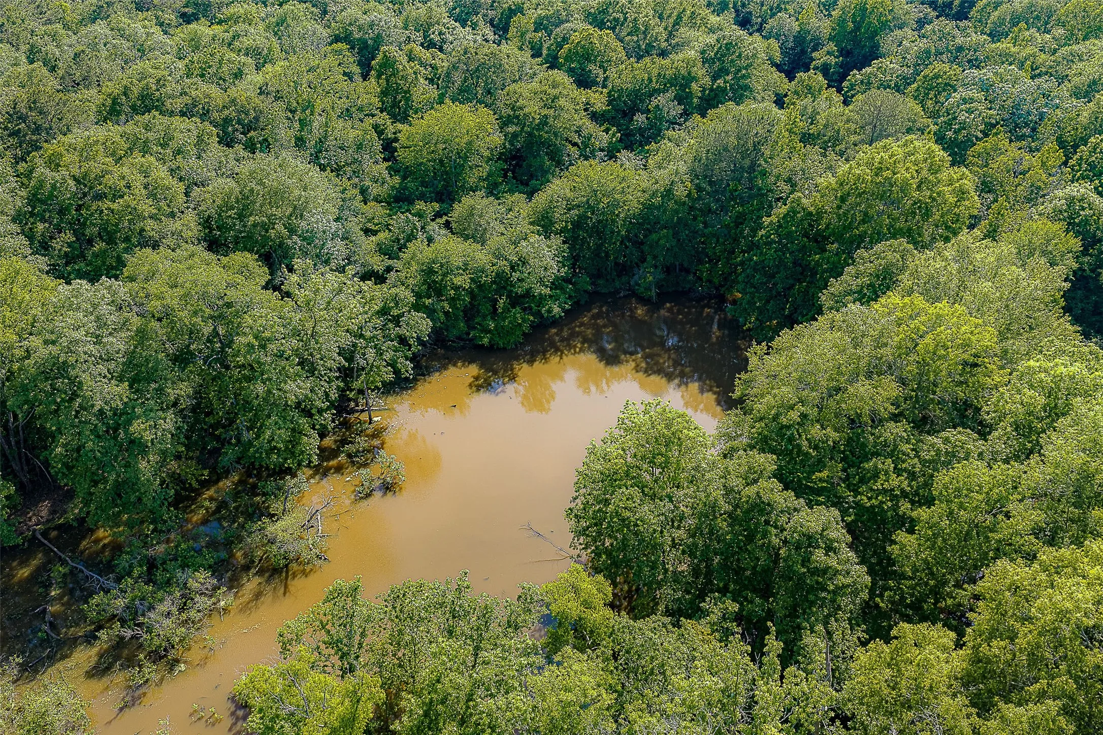 Unimproved Land For Sale in Cherokee County , 00 Off of Farm to Market Road 2064, Troup, Texas 75789, 0, 0, Garage spaces, 0 Sqft, built in 0, Price $980,000, mls#21264606, Real Estate Agent in Troup, Homes For Sale in Cherokee county, Homes For Sale in Troup, Realtor in Troup Texas, Real Estate Brokerage Independent Realty Texas, Luminita Cordes Realtor
