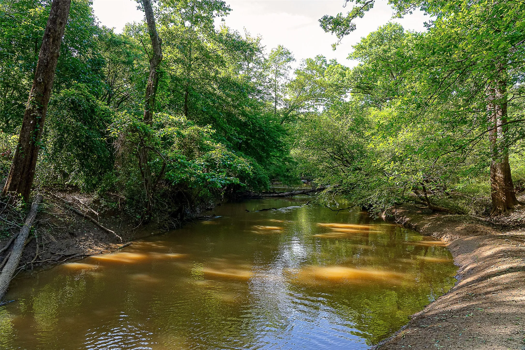 Unimproved Land For Sale in Cherokee County , 00 Off of Farm to Market Road 2064, Troup, Texas 75789, 0, 0, Garage spaces, 0 Sqft, built in 0, Price $980,000, mls#21264606, Real Estate Agent in Troup, Homes For Sale in Cherokee county, Homes For Sale in Troup, Realtor in Troup Texas, Real Estate Brokerage Independent Realty Texas, Luminita Cordes Realtor