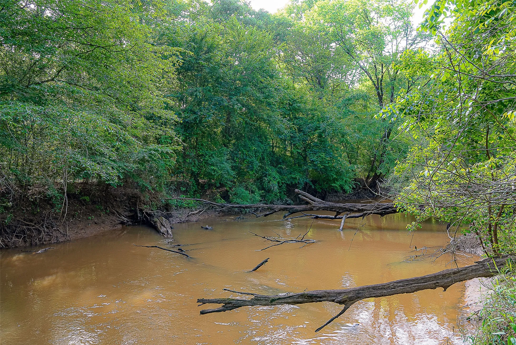 Unimproved Land For Sale in Cherokee County , 00 Off of Farm to Market Road 2064, Troup, Texas 75789, 0, 0, Garage spaces, 0 Sqft, built in 0, Price $980,000, mls#21264606, Real Estate Agent in Troup, Homes For Sale in Cherokee county, Homes For Sale in Troup, Realtor in Troup Texas, Real Estate Brokerage Independent Realty Texas, Luminita Cordes Realtor