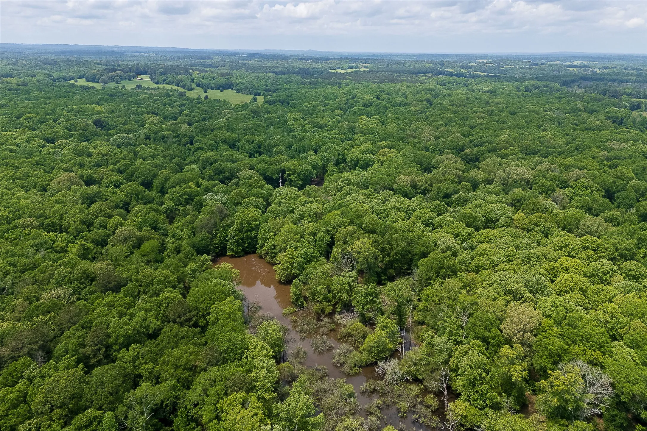 Unimproved Land For Sale in Cherokee County , 00 Off of Farm to Market Road 2064, Troup, Texas 75789, 0, 0, Garage spaces, 0 Sqft, built in 0, Price $980,000, mls#21264606, Real Estate Agent in Troup, Homes For Sale in Cherokee county, Homes For Sale in Troup, Realtor in Troup Texas, Real Estate Brokerage Independent Realty Texas, Luminita Cordes Realtor