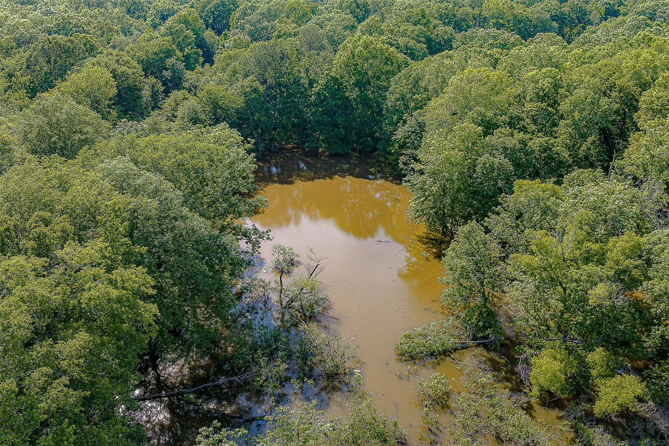 Unimproved Land For Sale in Cherokee County , 00 Off of Farm to Market Road 2064, Troup, Texas 75789, 0, 0, Garage spaces, 0 Sqft, built in 0, Price $980,000, mls#21264606, Real Estate Agent in Troup, Homes For Sale in Cherokee county, Homes For Sale in Troup, Realtor in Troup Texas, Real Estate Brokerage Independent Realty Texas, Luminita Cordes Realtor