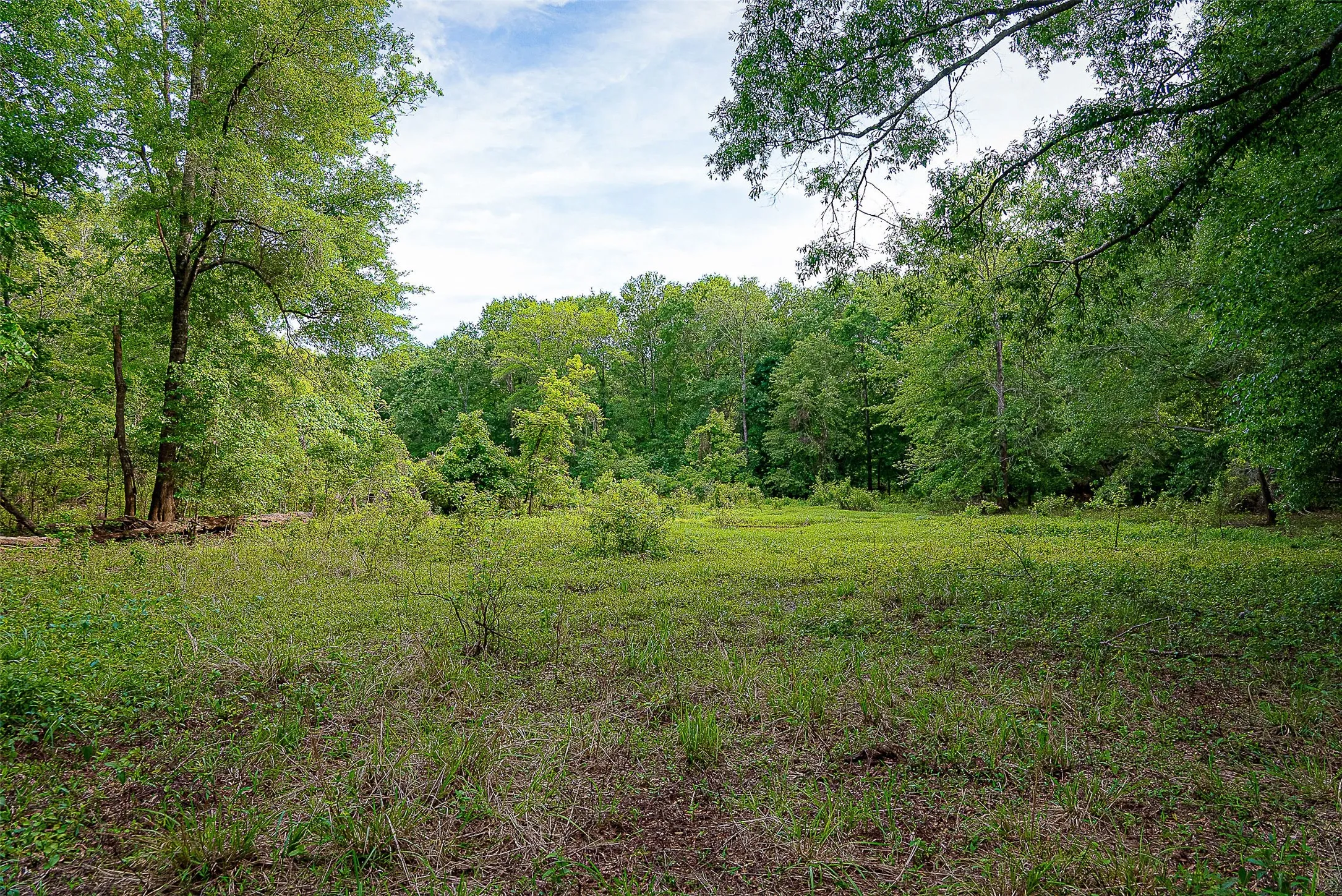 Unimproved Land For Sale in Cherokee County , 00 Off of Farm to Market Road 2064, Troup, Texas 75789, 0, 0, Garage spaces, 0 Sqft, built in 0, Price $980,000, mls#21264606, Real Estate Agent in Troup, Homes For Sale in Cherokee county, Homes For Sale in Troup, Realtor in Troup Texas, Real Estate Brokerage Independent Realty Texas, Luminita Cordes Realtor