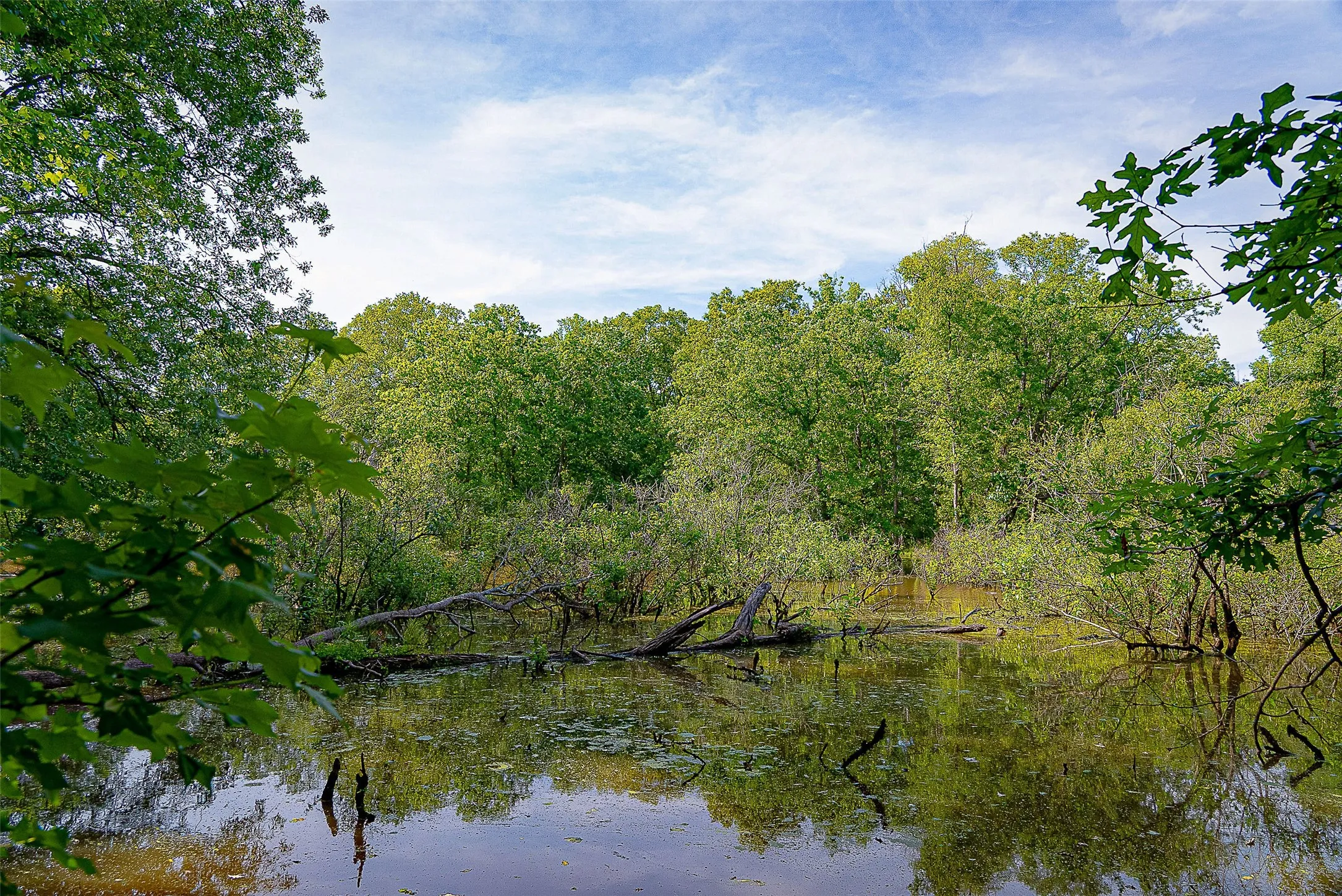 Unimproved Land For Sale in Cherokee County , 00 Off of Farm to Market Road 2064, Troup, Texas 75789, 0, 0, Garage spaces, 0 Sqft, built in 0, Price $980,000, mls#21264606, Real Estate Agent in Troup, Homes For Sale in Cherokee county, Homes For Sale in Troup, Realtor in Troup Texas, Real Estate Brokerage Independent Realty Texas, Luminita Cordes Realtor