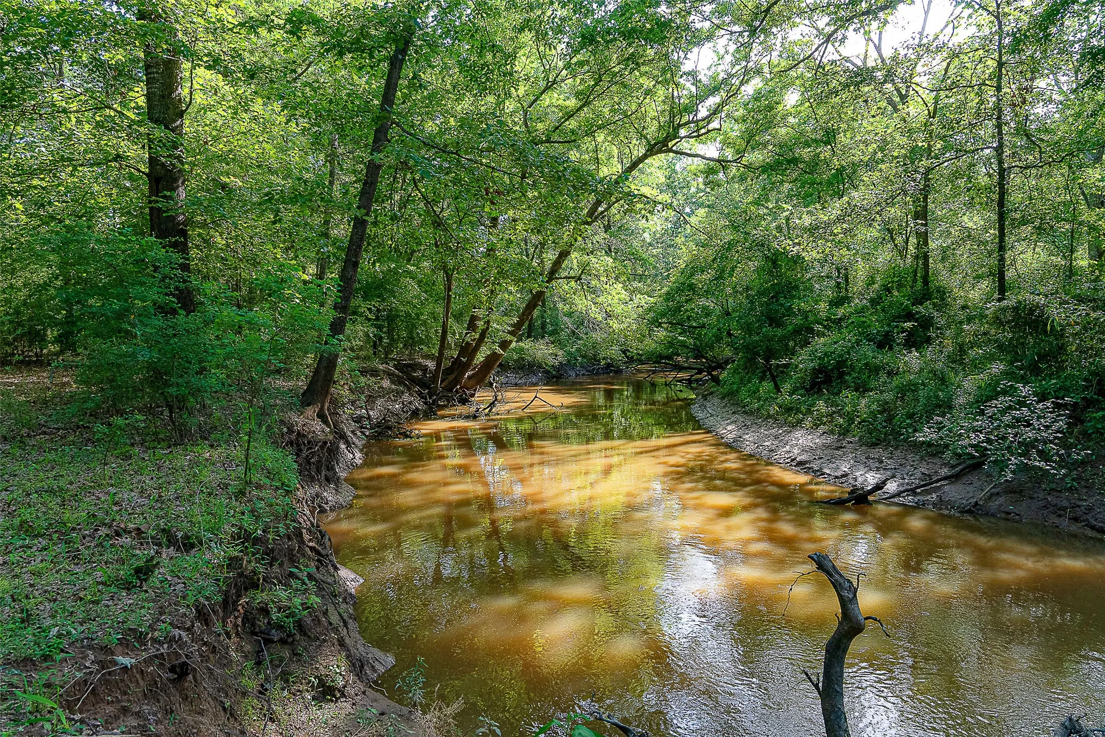 Unimproved Land For Sale in Cherokee County , 00 Off of Farm to Market Road 2064, Troup, Texas 75789, 0, 0, Garage spaces, 0 Sqft, built in 0, Price $980,000, mls#21264606, Real Estate Agent in Troup, Homes For Sale in Cherokee county, Homes For Sale in Troup, Realtor in Troup Texas, Real Estate Brokerage Independent Realty Texas, Luminita Cordes Realtor