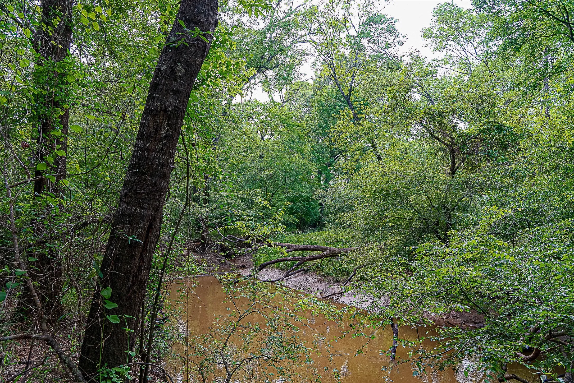Unimproved Land For Sale in Cherokee County , 00 Off of Farm to Market Road 2064, Troup, Texas 75789, 0, 0, Garage spaces, 0 Sqft, built in 0, Price $980,000, mls#21264606, Real Estate Agent in Troup, Homes For Sale in Cherokee county, Homes For Sale in Troup, Realtor in Troup Texas, Real Estate Brokerage Independent Realty Texas, Luminita Cordes Realtor