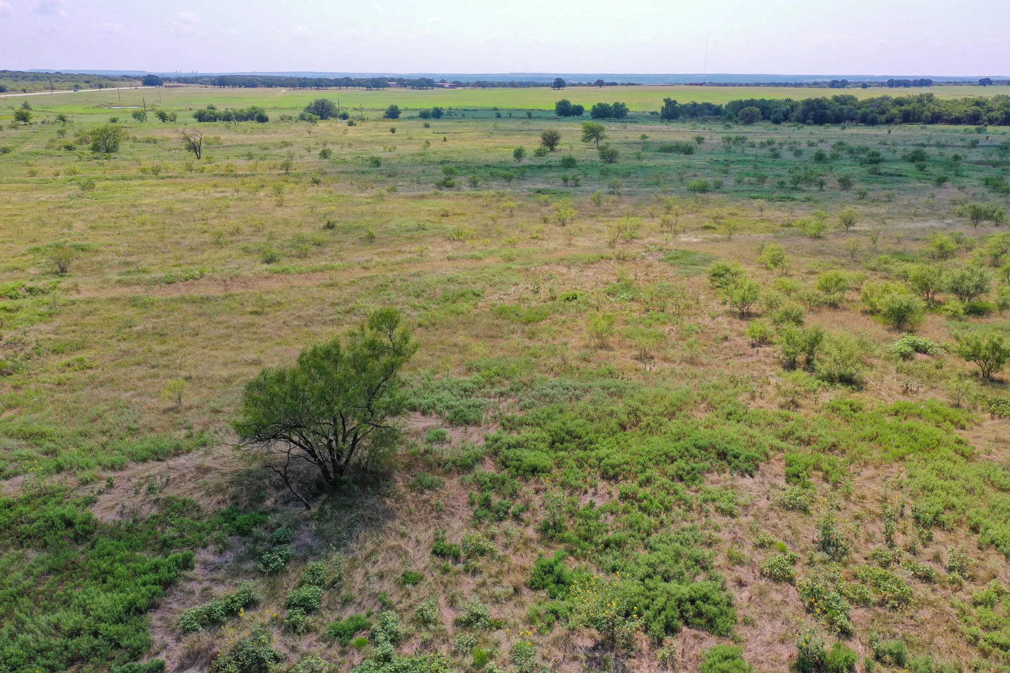 Ranch For Sale in Jack County , 29.56 Acres Ballard Road, Jacksboro, Texas 76458, 0, 0, Garage spaces, 0 Sqft, built in 0, Price $265,895, mls#21264628, Real Estate Agent in Jacksboro, Homes For Sale in Jack county, Homes For Sale in Jacksboro, Realtor in Jacksboro Texas, Real Estate Brokerage Independent Realty Texas, Luminita Cordes Realtor