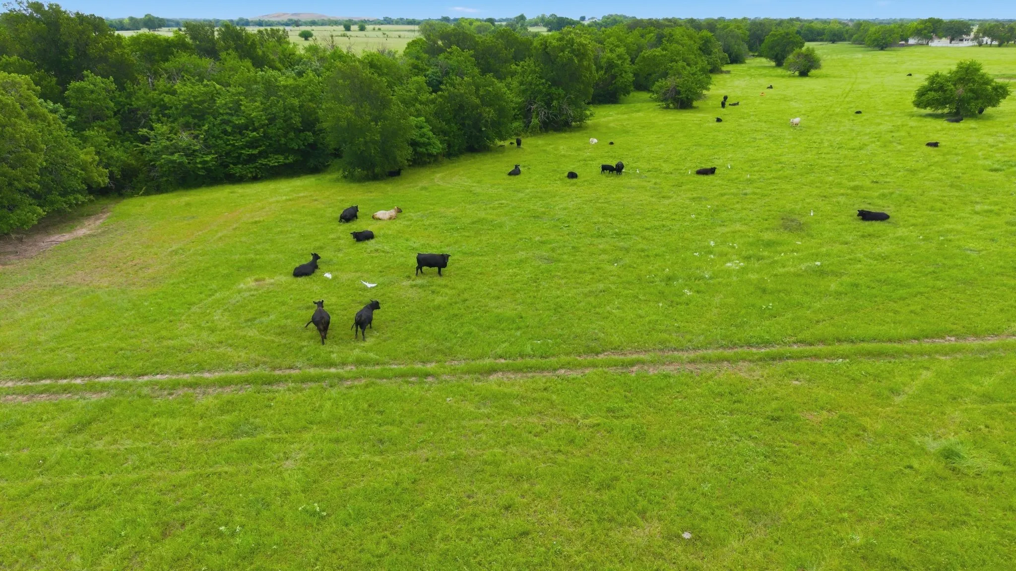 Ranch For Sale in Hunt County , 7635 County Road 4209, Campbell, Texas 75422, 0, 0, Garage spaces, 0 Sqft, built in 1939, Price $1,800,000, mls#21264691, Real Estate Agent in Campbell, Homes For Sale in Hunt county, Homes For Sale in Campbell, Realtor in Campbell Texas, Real Estate Brokerage Independent Realty Texas, Luminita Cordes Realtor