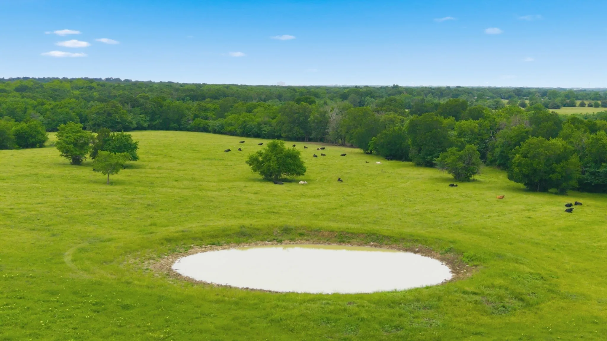 Ranch For Sale in Hunt County , 7635 County Road 4209, Campbell, Texas 75422, 0, 0, Garage spaces, 0 Sqft, built in 1939, Price $1,800,000, mls#21264691, Real Estate Agent in Campbell, Homes For Sale in Hunt county, Homes For Sale in Campbell, Realtor in Campbell Texas, Real Estate Brokerage Independent Realty Texas, Luminita Cordes Realtor