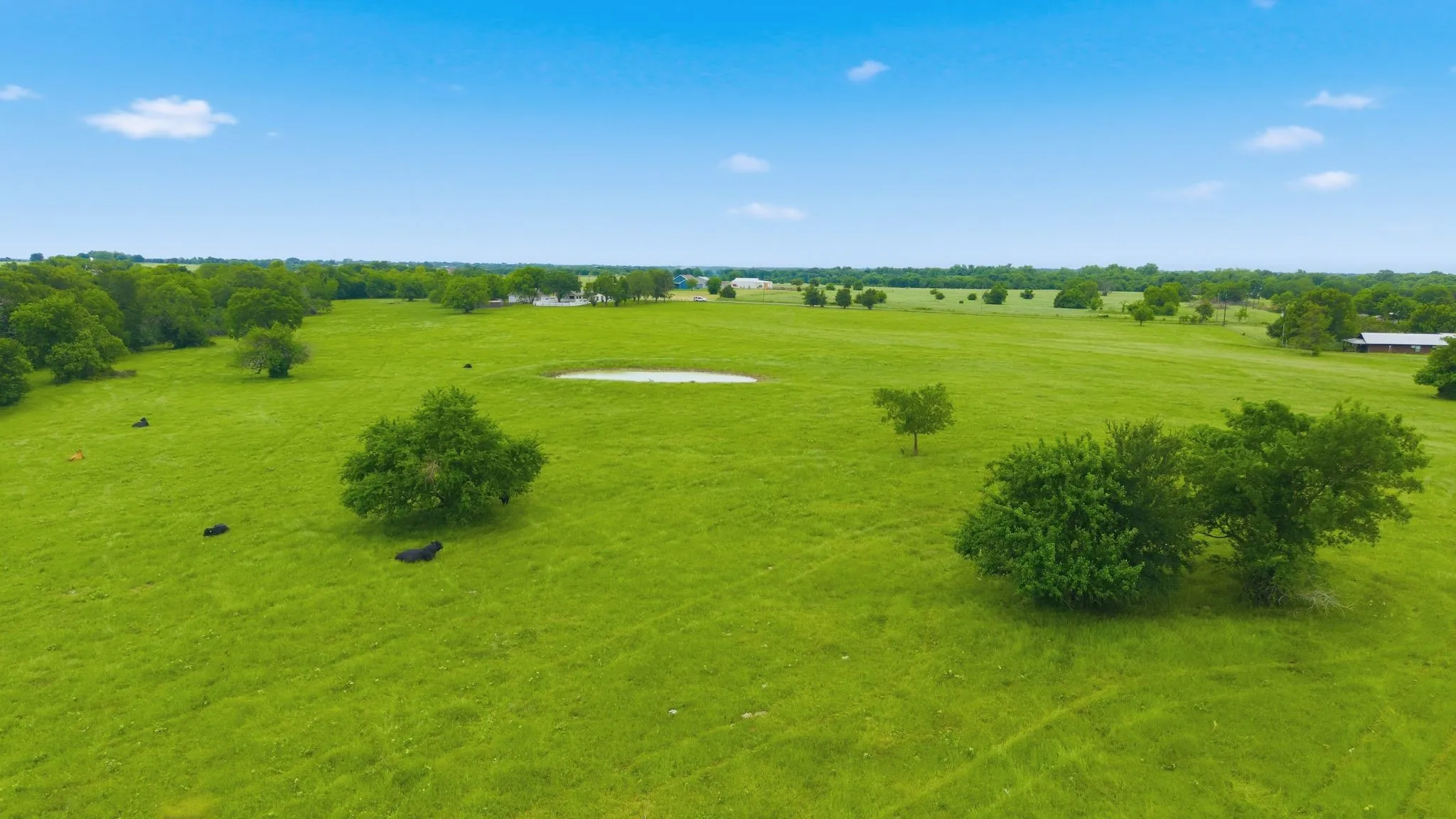 Ranch For Sale in Hunt County , 7635 County Road 4209, Campbell, Texas 75422, 0, 0, Garage spaces, 0 Sqft, built in 1939, Price $1,800,000, mls#21264691, Real Estate Agent in Campbell, Homes For Sale in Hunt county, Homes For Sale in Campbell, Realtor in Campbell Texas, Real Estate Brokerage Independent Realty Texas, Luminita Cordes Realtor