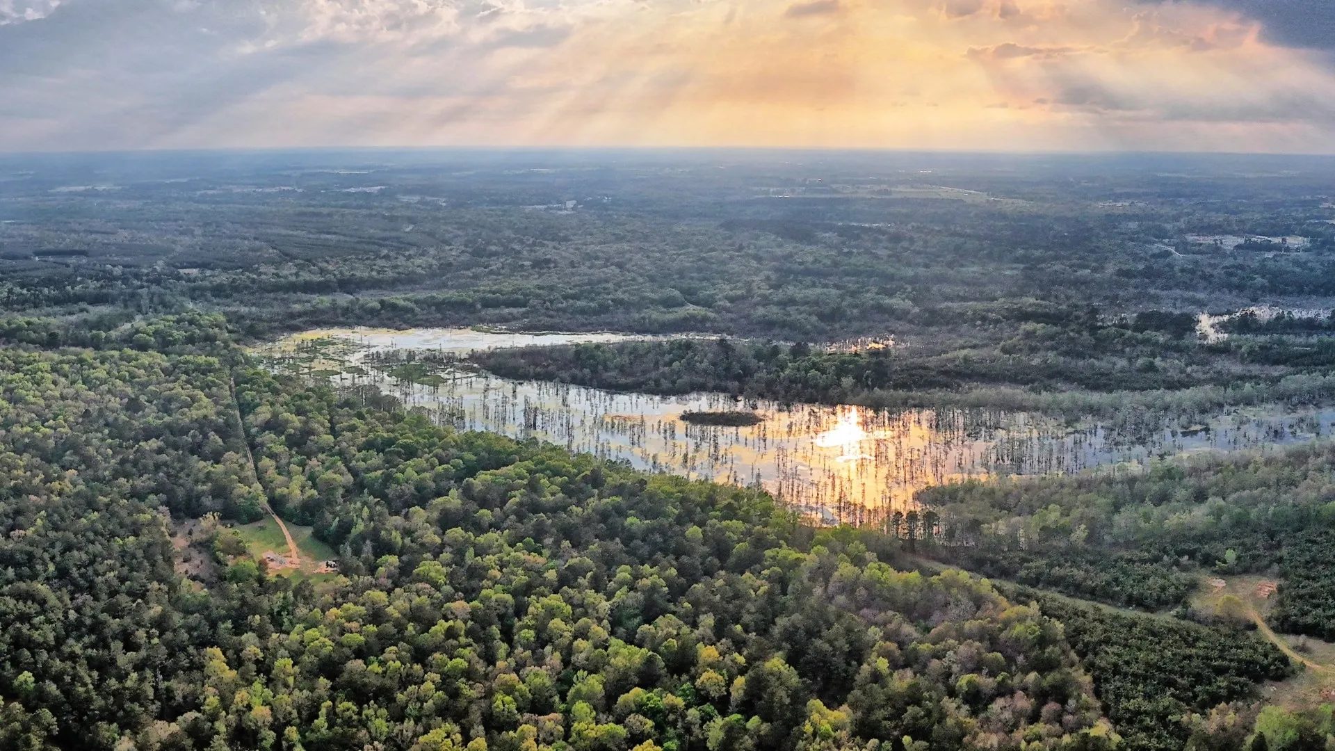 Ranch For Sale in Panola County , TBD County Rd 401, Carthage, Texas 75633, 0, 0, Garage spaces, 0 Sqft, built in 0, Price $1,950,000, mls#21264692, Real Estate Agent in Carthage, Homes For Sale in Panola county, Homes For Sale in Carthage, Realtor in Carthage Texas, Real Estate Brokerage Independent Realty Texas, Luminita Cordes Realtor