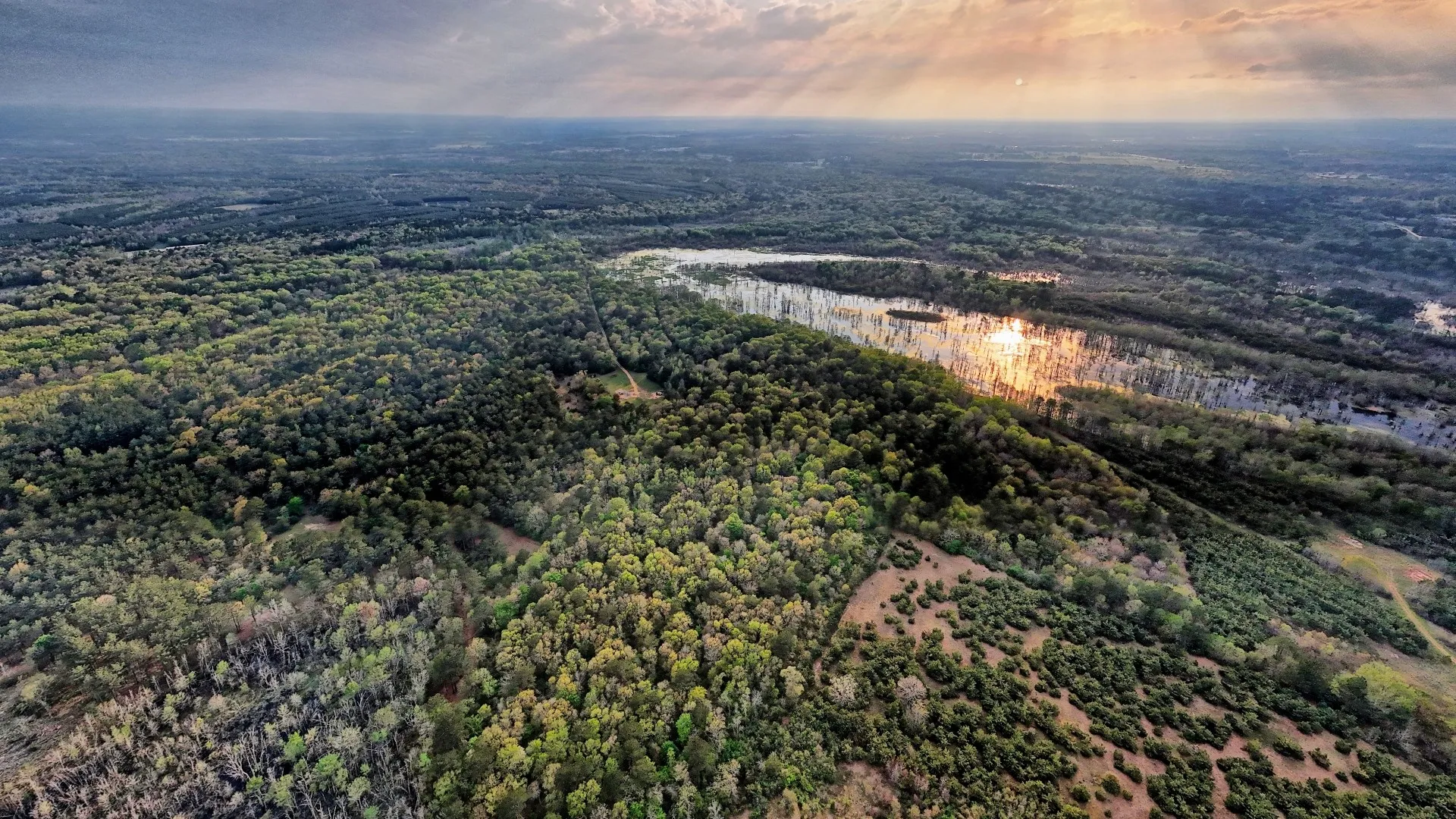 Ranch For Sale in Panola County , TBD County Rd 401, Carthage, Texas 75633, 0, 0, Garage spaces, 0 Sqft, built in 0, Price $1,950,000, mls#21264692, Real Estate Agent in Carthage, Homes For Sale in Panola county, Homes For Sale in Carthage, Realtor in Carthage Texas, Real Estate Brokerage Independent Realty Texas, Luminita Cordes Realtor