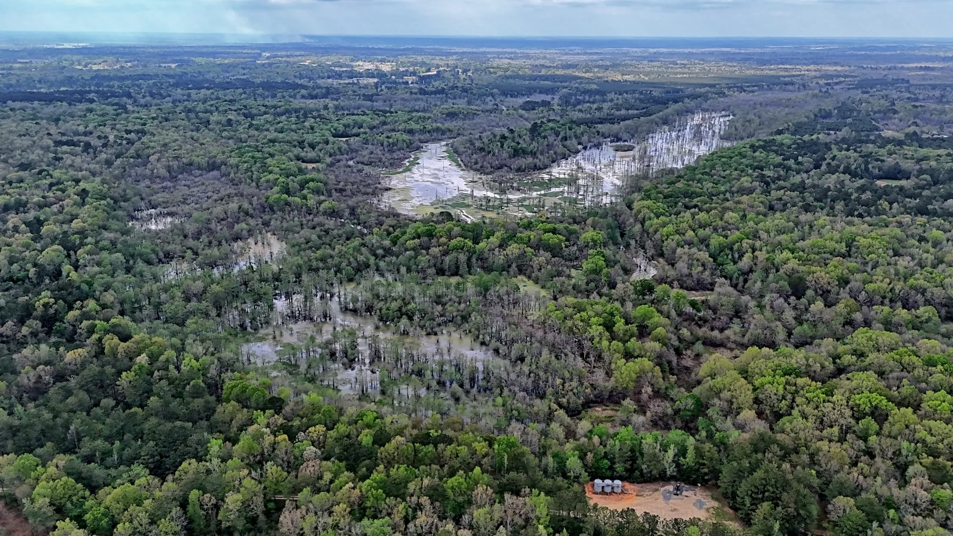 Ranch For Sale in Panola County , TBD County Rd 401, Carthage, Texas 75633, 0, 0, Garage spaces, 0 Sqft, built in 0, Price $1,950,000, mls#21264692, Real Estate Agent in Carthage, Homes For Sale in Panola county, Homes For Sale in Carthage, Realtor in Carthage Texas, Real Estate Brokerage Independent Realty Texas, Luminita Cordes Realtor