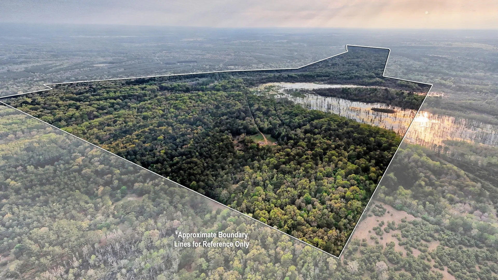 Ranch For Sale in Panola County , TBD County Rd 401, Carthage, Texas 75633, 0, 0, Garage spaces, 0 Sqft, built in 0, Price $1,950,000, mls#21264692, Real Estate Agent in Carthage, Homes For Sale in Panola county, Homes For Sale in Carthage, Realtor in Carthage Texas, Real Estate Brokerage Independent Realty Texas, Luminita Cordes Realtor