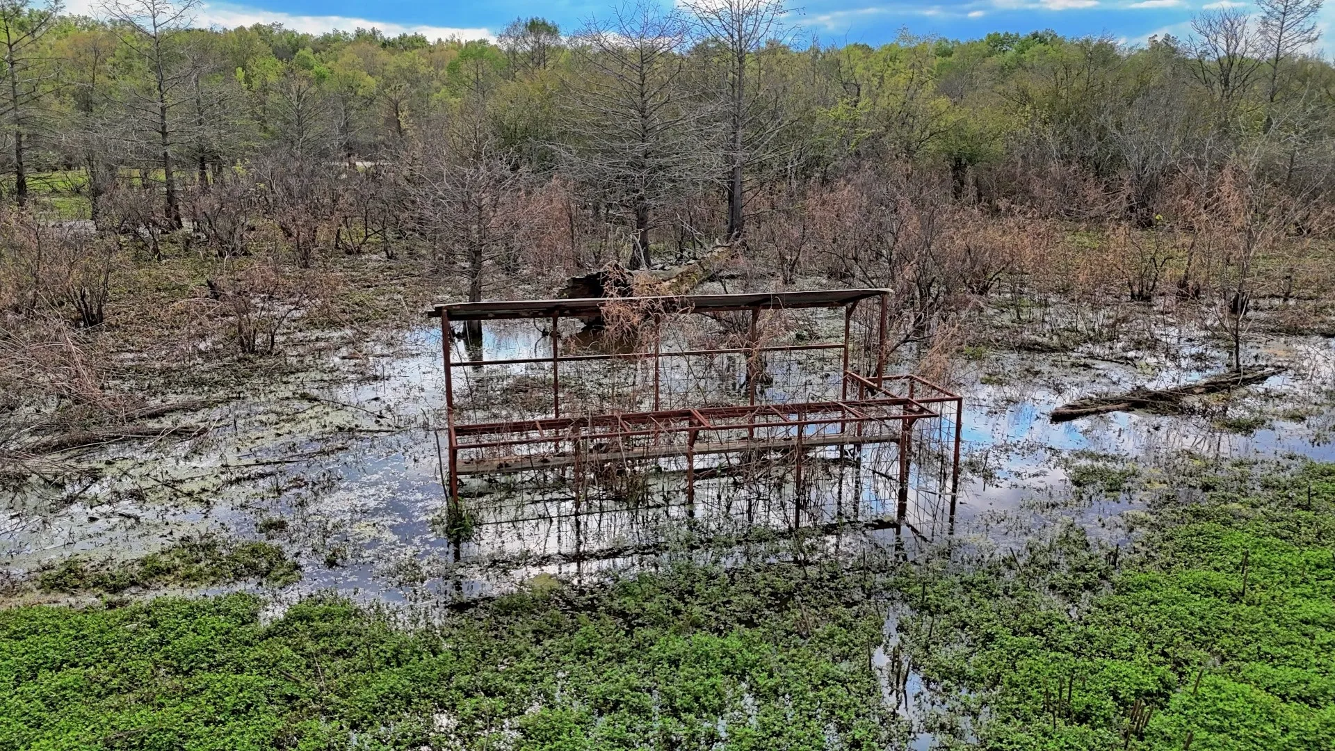 Ranch For Sale in Panola County , TBD County Rd 401, Carthage, Texas 75633, 0, 0, Garage spaces, 0 Sqft, built in 0, Price $1,950,000, mls#21264692, Real Estate Agent in Carthage, Homes For Sale in Panola county, Homes For Sale in Carthage, Realtor in Carthage Texas, Real Estate Brokerage Independent Realty Texas, Luminita Cordes Realtor