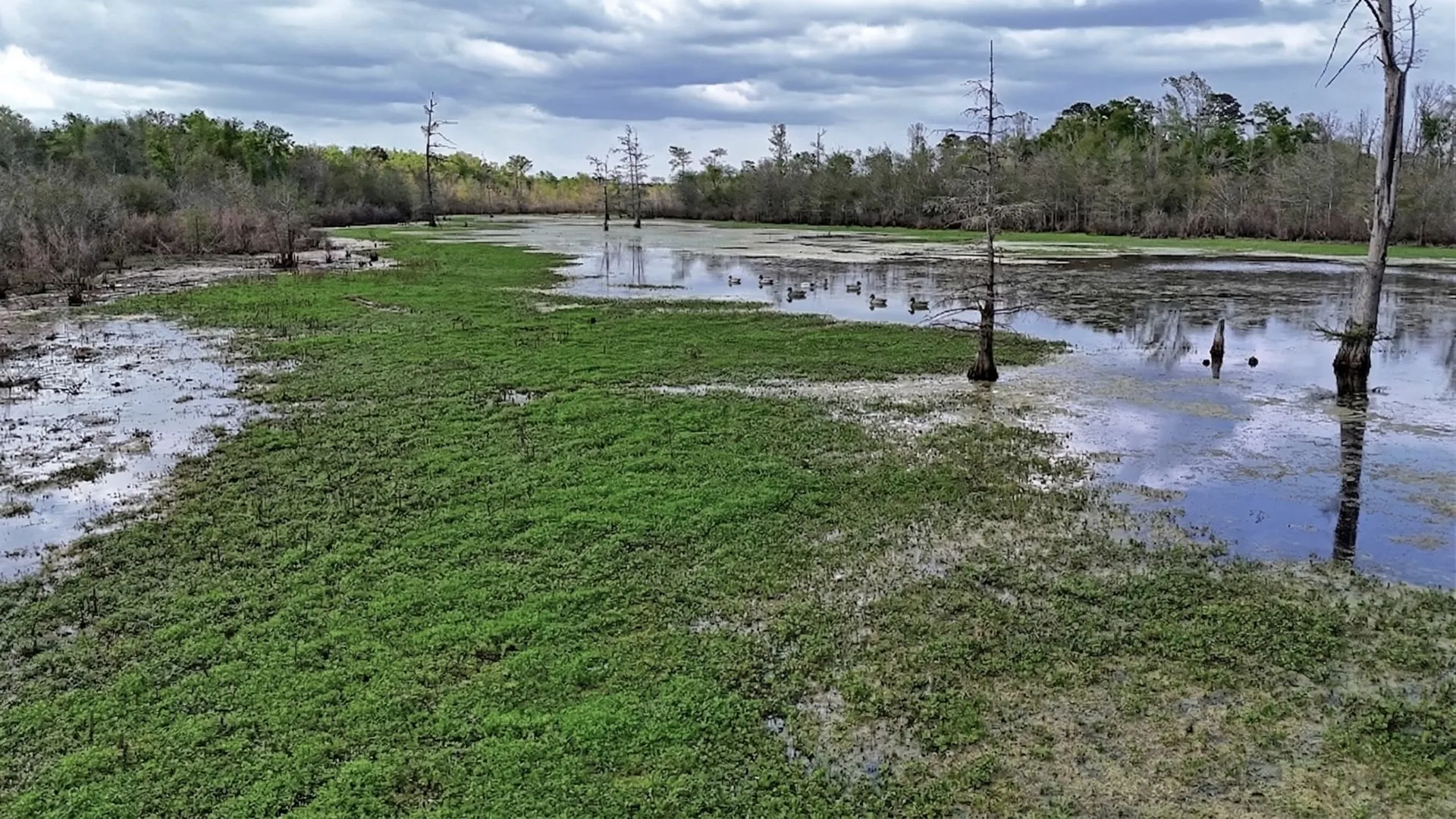 Ranch For Sale in Panola County , TBD County Rd 401, Carthage, Texas 75633, 0, 0, Garage spaces, 0 Sqft, built in 0, Price $1,950,000, mls#21264692, Real Estate Agent in Carthage, Homes For Sale in Panola county, Homes For Sale in Carthage, Realtor in Carthage Texas, Real Estate Brokerage Independent Realty Texas, Luminita Cordes Realtor