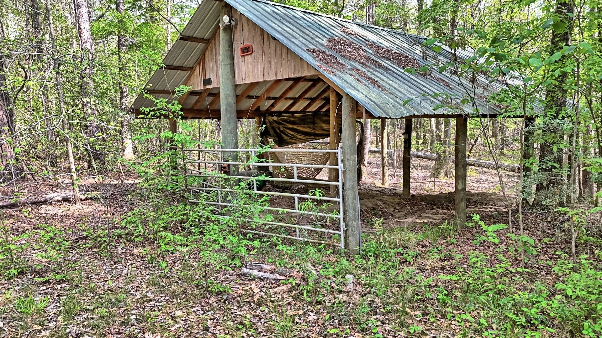 Ranch For Sale in Panola County , TBD County Rd 401, Carthage, Texas 75633, 0, 0, Garage spaces, 0 Sqft, built in 0, Price $1,950,000, mls#21264692, Real Estate Agent in Carthage, Homes For Sale in Panola county, Homes For Sale in Carthage, Realtor in Carthage Texas, Real Estate Brokerage Independent Realty Texas, Luminita Cordes Realtor