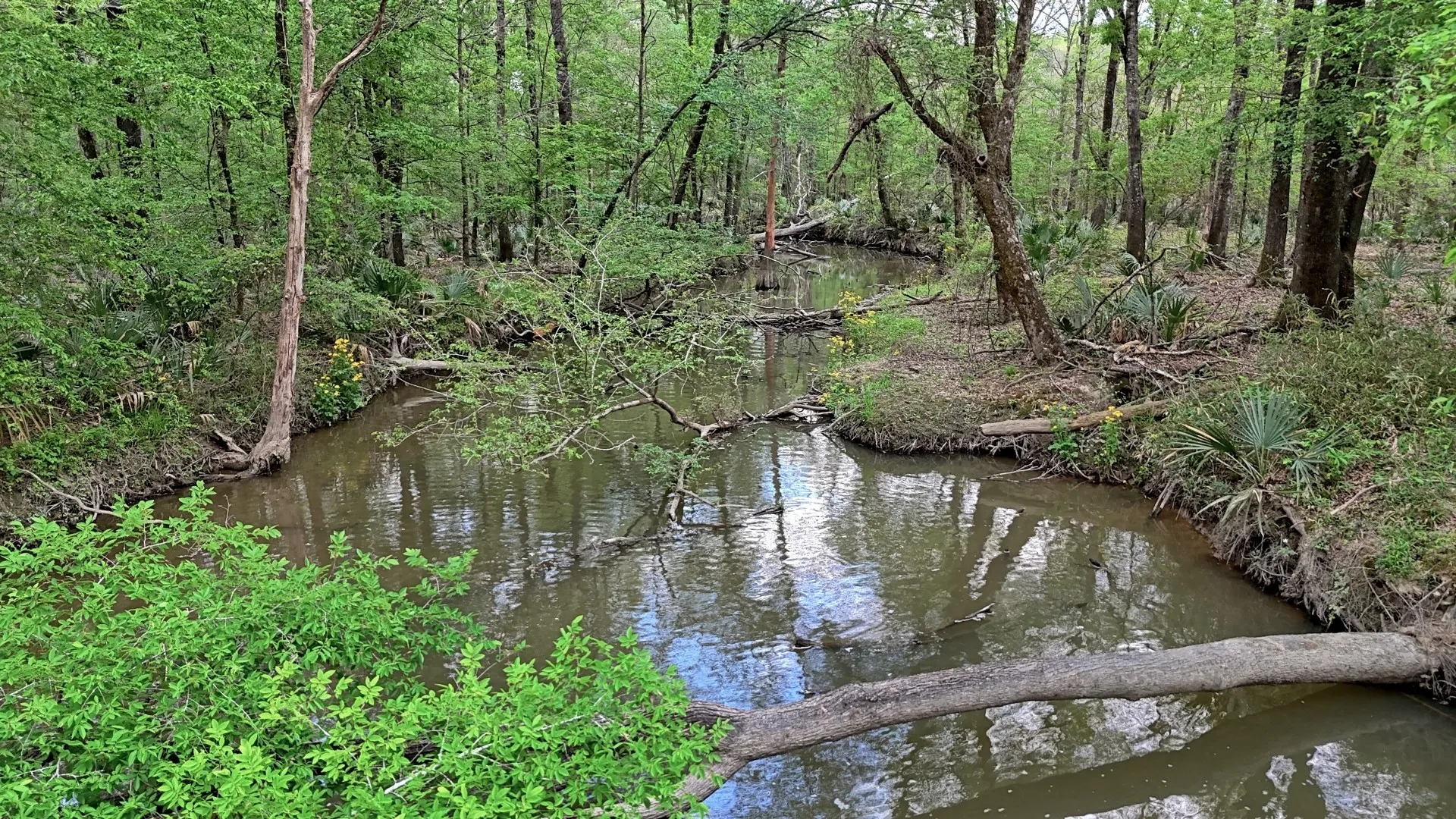 Ranch For Sale in Panola County , TBD County Rd 401, Carthage, Texas 75633, 0, 0, Garage spaces, 0 Sqft, built in 0, Price $1,950,000, mls#21264692, Real Estate Agent in Carthage, Homes For Sale in Panola county, Homes For Sale in Carthage, Realtor in Carthage Texas, Real Estate Brokerage Independent Realty Texas, Luminita Cordes Realtor