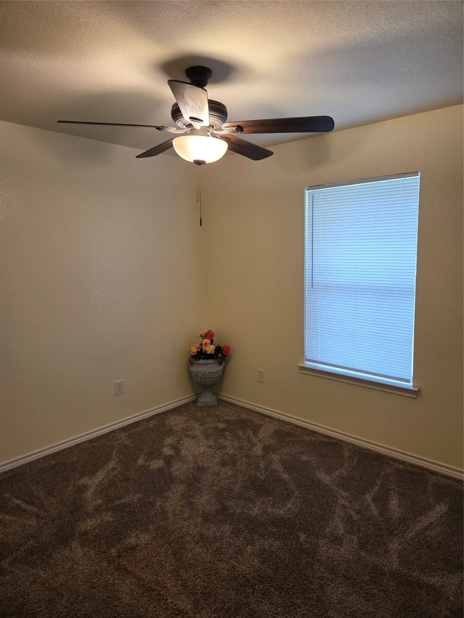Single Family Residence For Sale in Mc Lennan County , 320 Hazelwood Avenue, Waco, Texas 76705, 3 Bedroom, 2 Bathroom, 1 Garage spaces, 1,296 Sqft, built in 2009, mls#21264577, Real Estate Agent in Waco, Homes For Sale in Mc Lennan county, Homes For Sale in Waco, Realtor in Waco Texas, Real Estate Brokerage Independent Realty Texas, Luminita Cordes Realtor