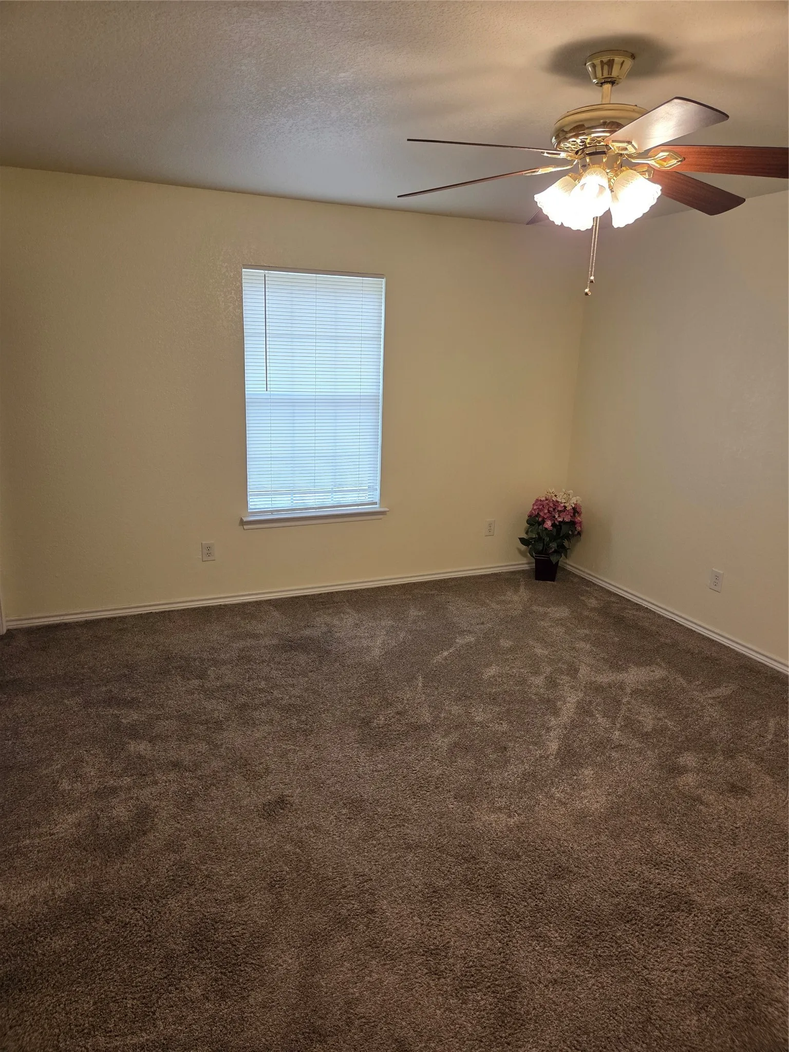 Single Family Residence For Sale in Mc Lennan County , 320 Hazelwood Avenue, Waco, Texas 76705, 3 Bedroom, 2 Bathroom, 1 Garage spaces, 1,296 Sqft, built in 2009, mls#21264577, Real Estate Agent in Waco, Homes For Sale in Mc Lennan county, Homes For Sale in Waco, Realtor in Waco Texas, Real Estate Brokerage Independent Realty Texas, Luminita Cordes Realtor