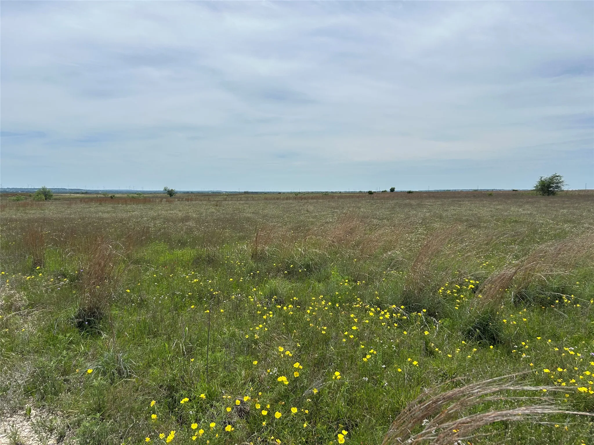Unimproved Land For Sale in Hamilton County , TBA County Road 619, Hamilton, Texas 76531, 0, 0, Garage spaces, 0 Sqft, built in 0, Price $170,000, mls#21264711, Real Estate Agent in Hamilton, Homes For Sale in Hamilton county, Homes For Sale in Hamilton, Realtor in Hamilton Texas, Real Estate Brokerage Independent Realty Texas, Luminita Cordes Realtor