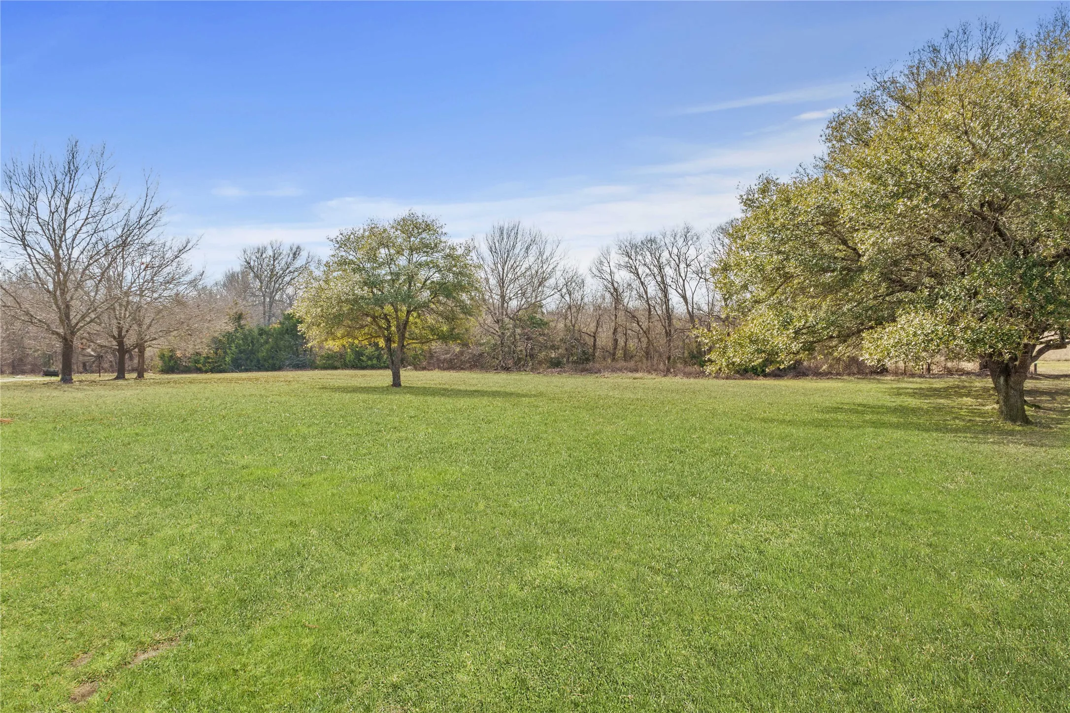 Expansive green space featuring a large grassy area and mature trees