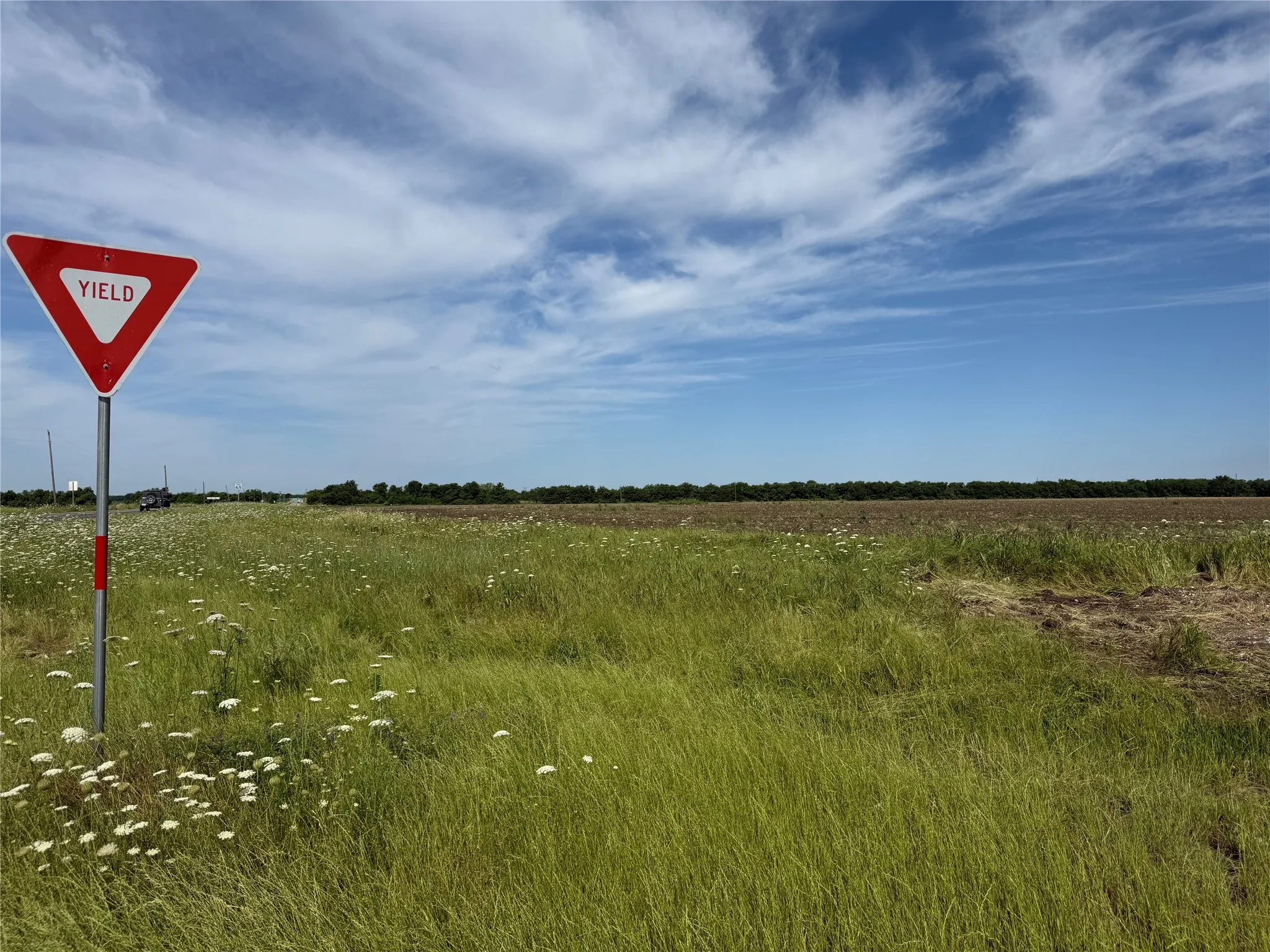 Ranch For Sale in Fannin County , 000 Fm 1396, Honey Grove, Texas 75446, 0, 0, Garage spaces, 0 Sqft, built in 0, Price $1,307,684, mls#21264412, Real Estate Agent in Honey Grove, Homes For Sale in Fannin county, Homes For Sale in Honey Grove, Realtor in Honey Grove Texas, Real Estate Brokerage Independent Realty Texas, Luminita Cordes Realtor