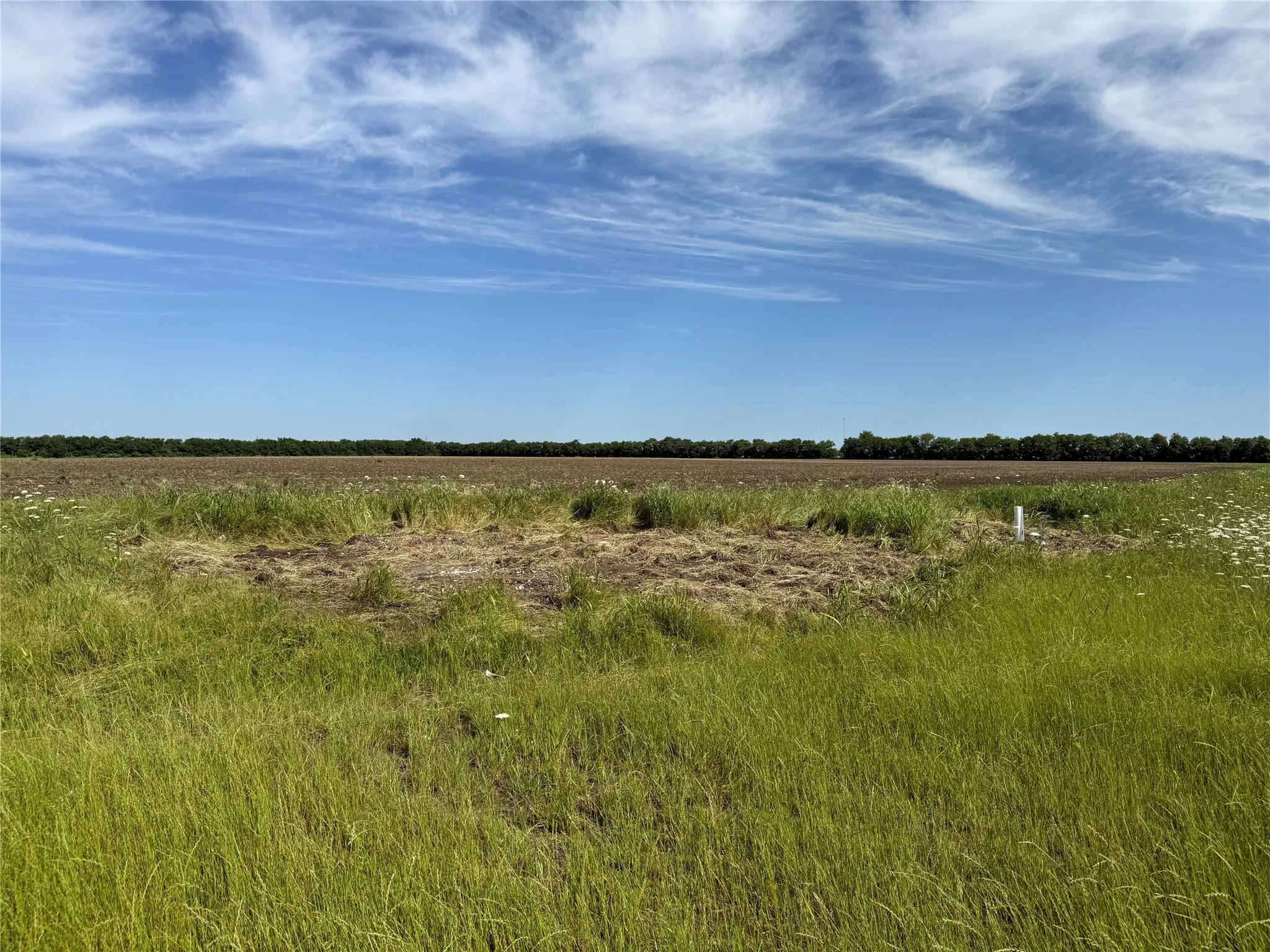 Ranch For Sale in Fannin County , 000 Fm 1396, Honey Grove, Texas 75446, 0, 0, Garage spaces, 0 Sqft, built in 0, Price $1,307,684, mls#21264412, Real Estate Agent in Honey Grove, Homes For Sale in Fannin county, Homes For Sale in Honey Grove, Realtor in Honey Grove Texas, Real Estate Brokerage Independent Realty Texas, Luminita Cordes Realtor