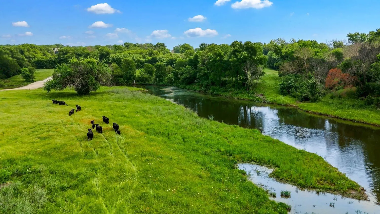 Ranch For Sale in Denton County , 1300 Strader Road, Northlake, Texas 76247, 0, 0, Garage spaces, 0 Sqft, built in 2004, mls#21263740, Real Estate Agent in Northlake, Homes For Sale in Denton county, Homes For Sale in Northlake, Realtor in Northlake Texas, Real Estate Brokerage Independent Realty Texas, Luminita Cordes Realtor